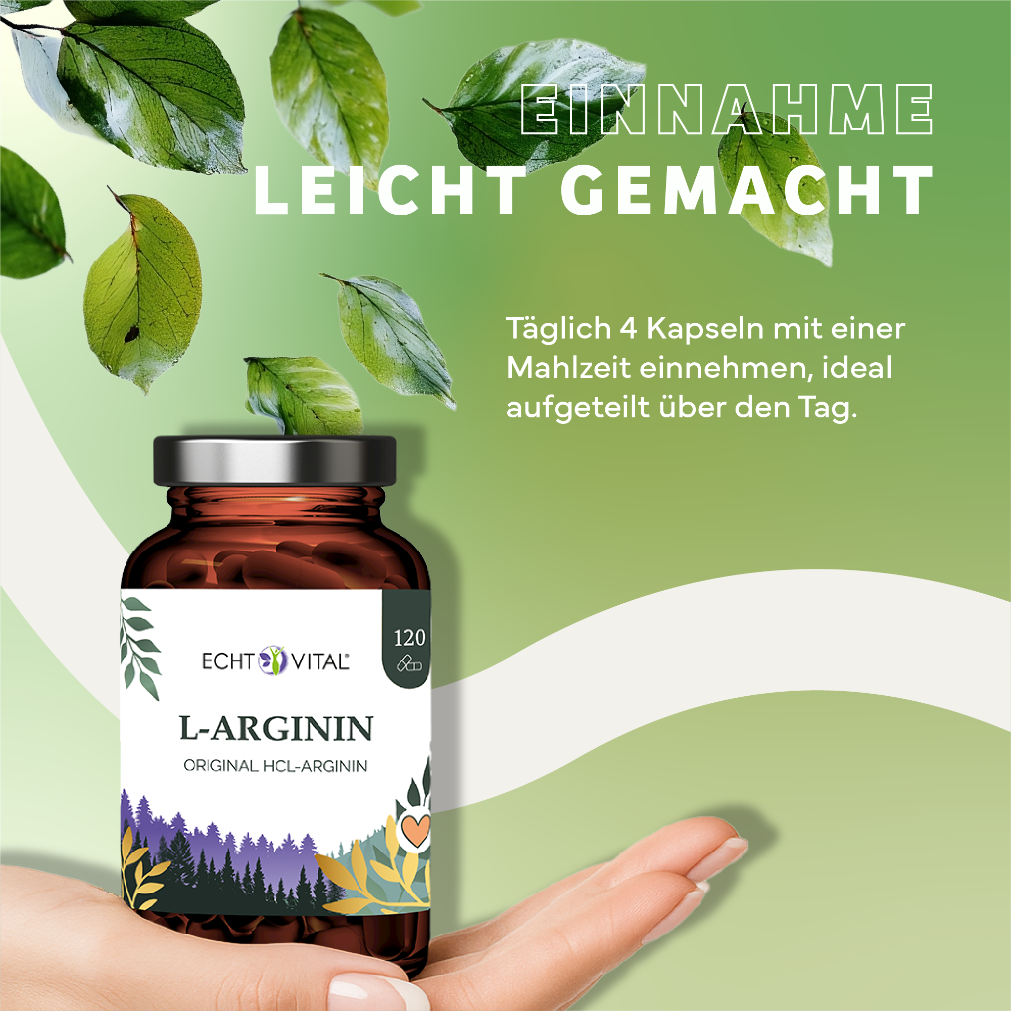 Kräuter, Werbung, Astragalus, Blatt