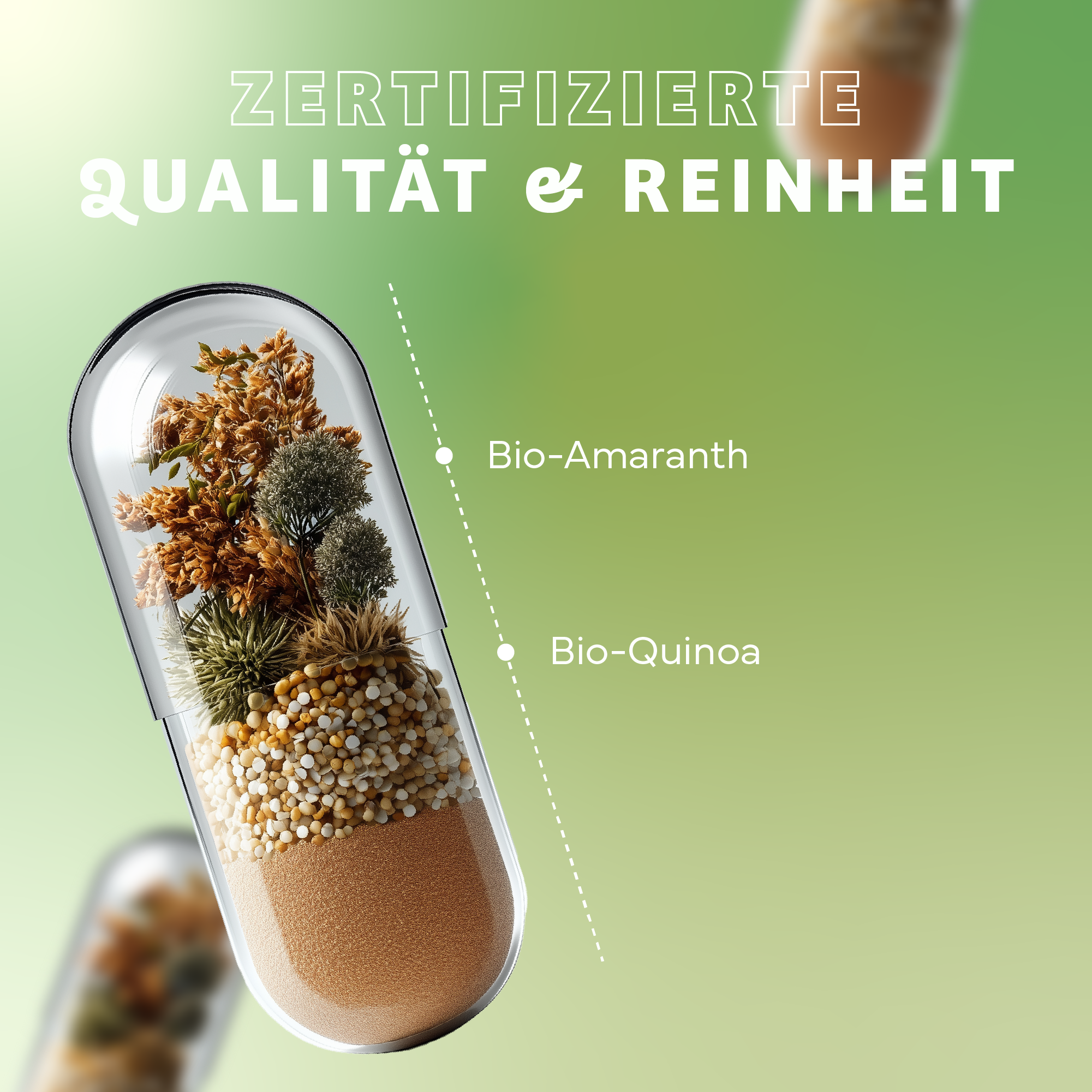 Kräuter, Pflanze, Kräuter, Pflanze