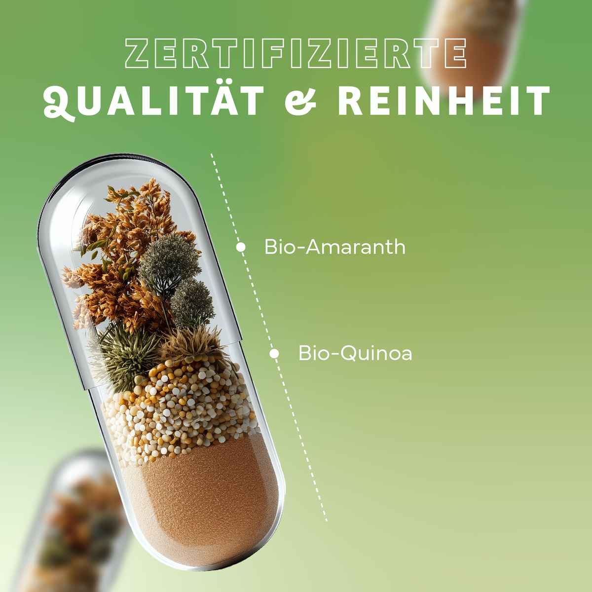 Kräuter, Pflanze, Kräuter, Pflanze, Kräuterig, Kräuter, Pflanze, bio-Amaranth, Bio-Quinoa, Pulver, Pilze, Pflanzen