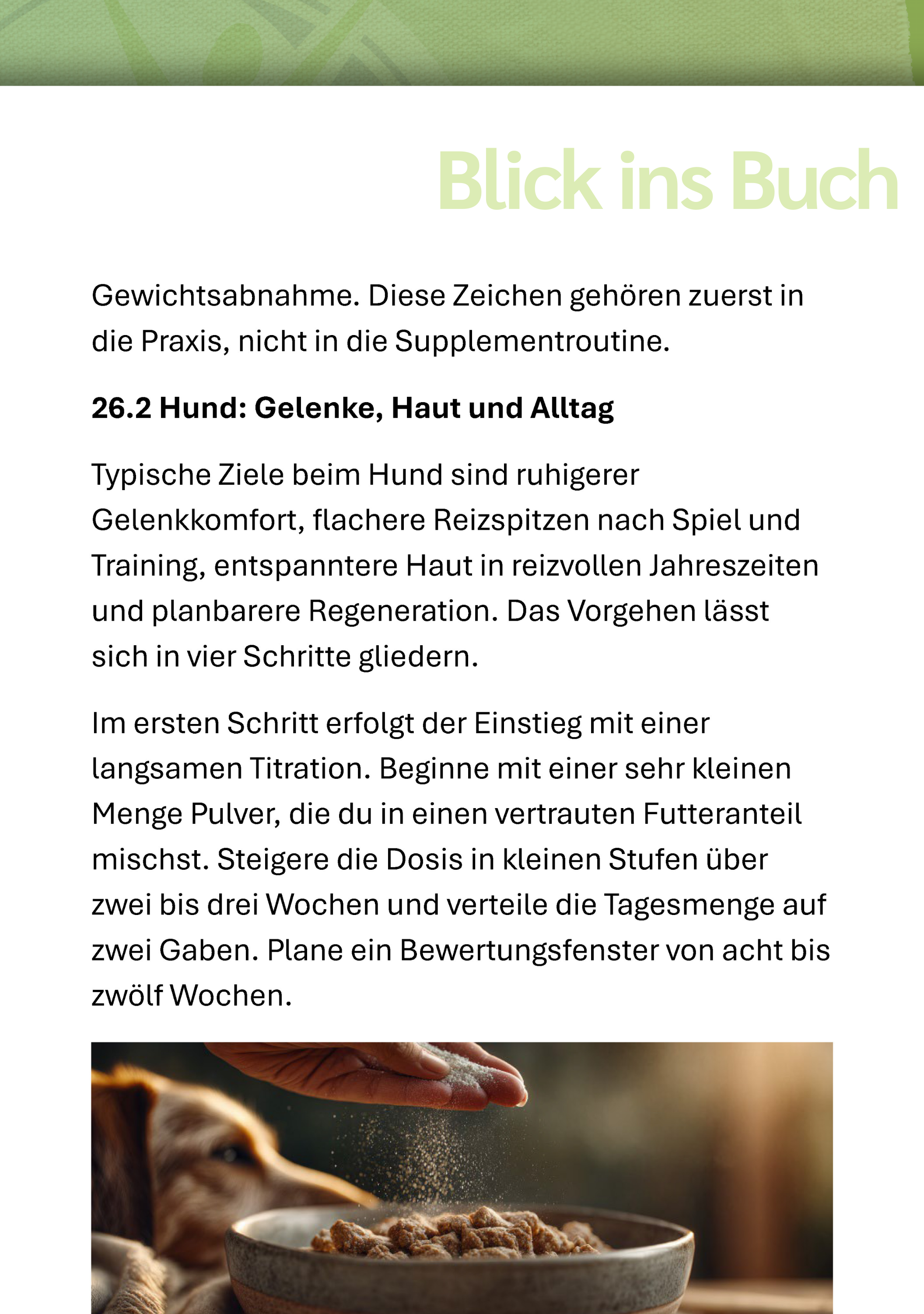 Werbung, Plakat, Hund, Säugetier, Haustier