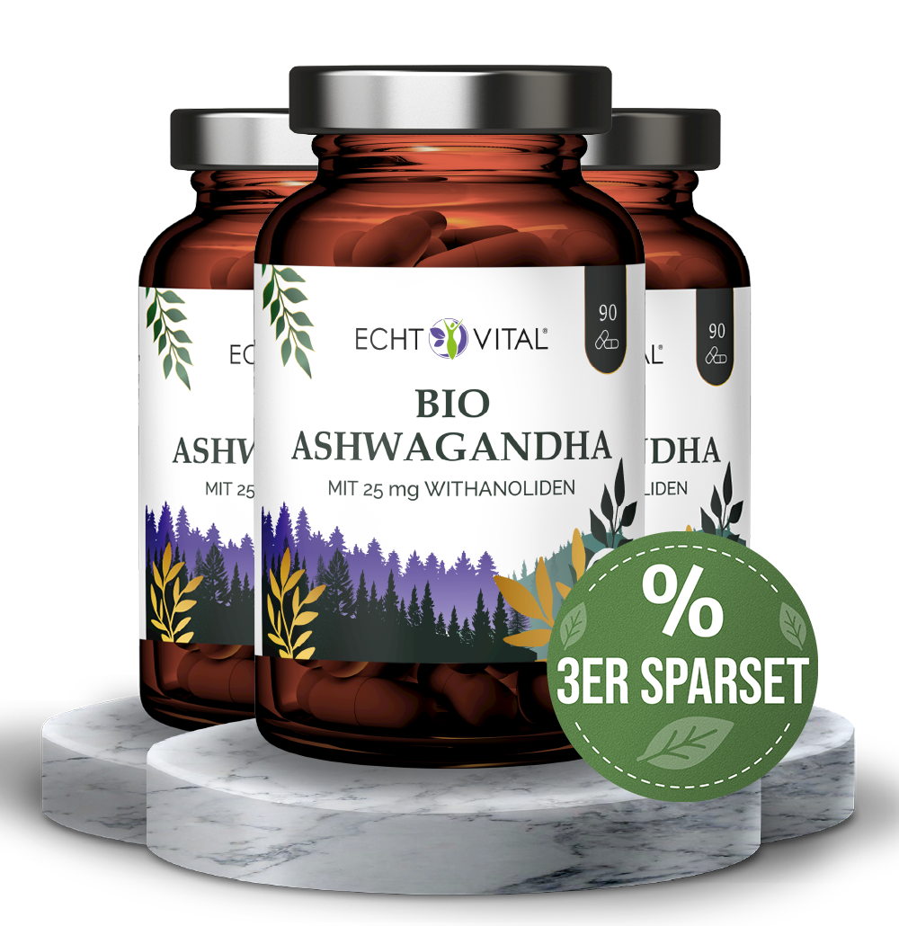 Kräuterig, Kräuter, Pflanze, Kräuter, Krug, Astragalus, Blume