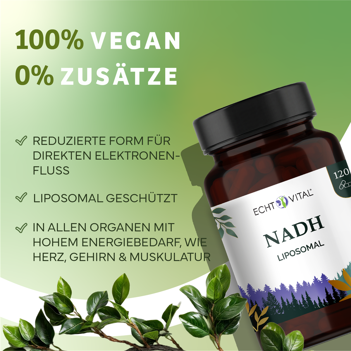 Kräuter, Pflanze, Werbung, Astragalus, Kräuter, Pflanze, Werbung, Astragalus, Kräuterig, Kräuter, Pflanze, Astragalus, Werbung, Liposomal, NADH, Vitamin, Kapsel, Flasche