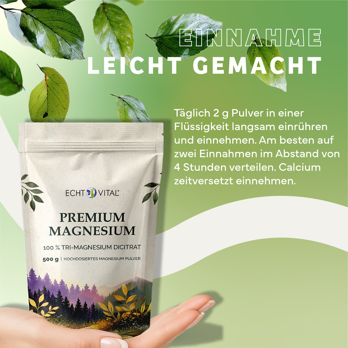 Werbung, Plakat, Kräuter, Pflanze, Blatt, Kräuter, Werbung, Plakat, Blatt, Magnesiumpulver, Premium Magnesium, Magnesiumcitrat, Diät-Ergänzung, Verpackungstüte, Magnesium, Pulver, Tri-Magnesium, Hochdosiert, Diät-Ergänzung