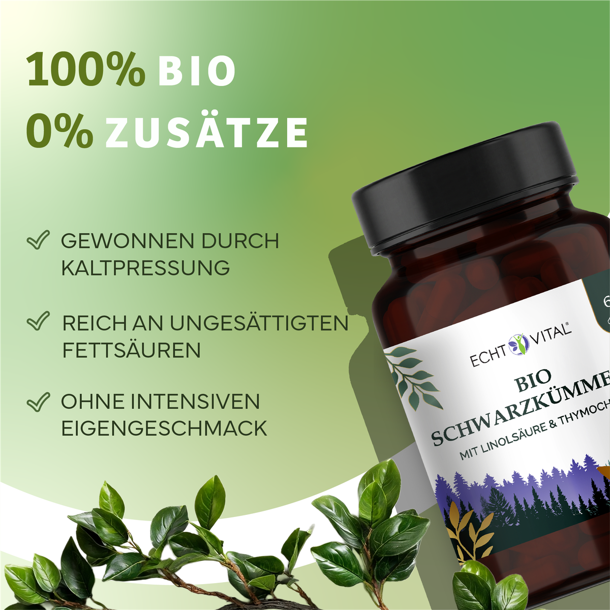 Kräuterig, Kräuter, Pflanze, Astragalus, Werbung, Bio, Schwarzkümmel, Kapsel, Flasche, Etikett