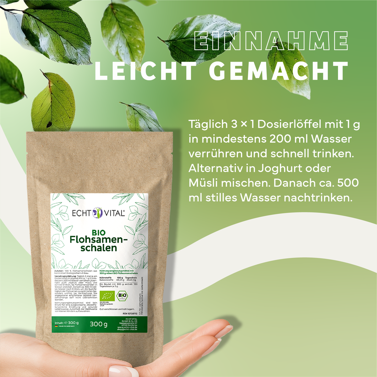 Kräuterig, Pflanze, Werbung, Plakat, Blatt, Bio Flohsamenschalen, Pflanzenbasierte Nahrungsergänzung, Bio-Produkt, Mehlverpackung, 300 g