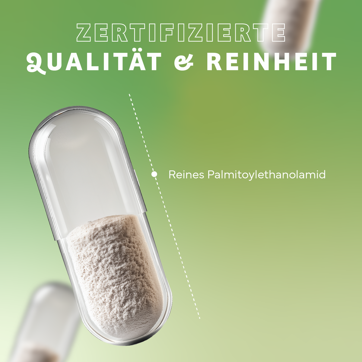 Palmitoylethanolamid, Kapsel, Pulver, Nahrungsergänzung, Reinweiß