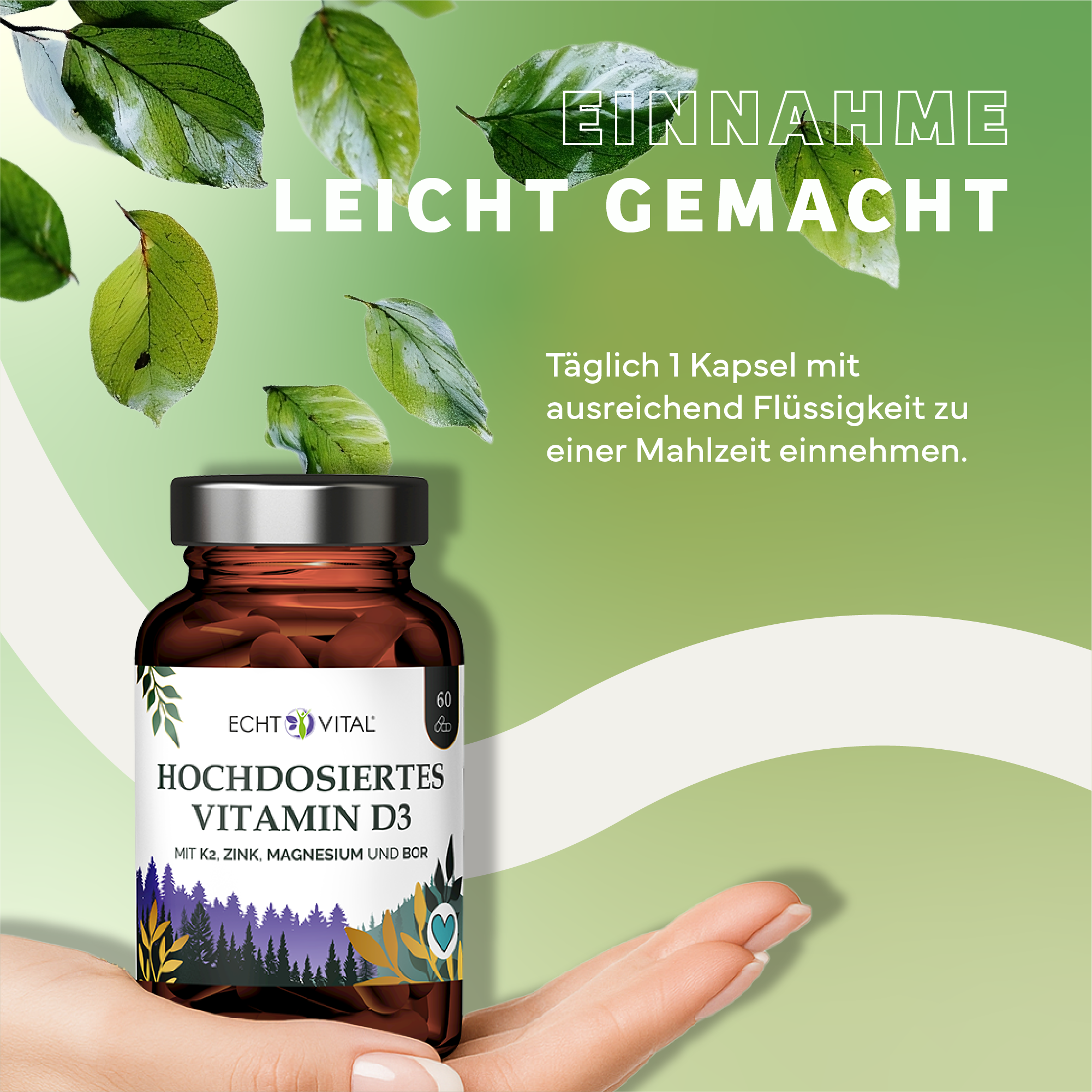 Kräuter, Werbung, Astragalus, Plakat