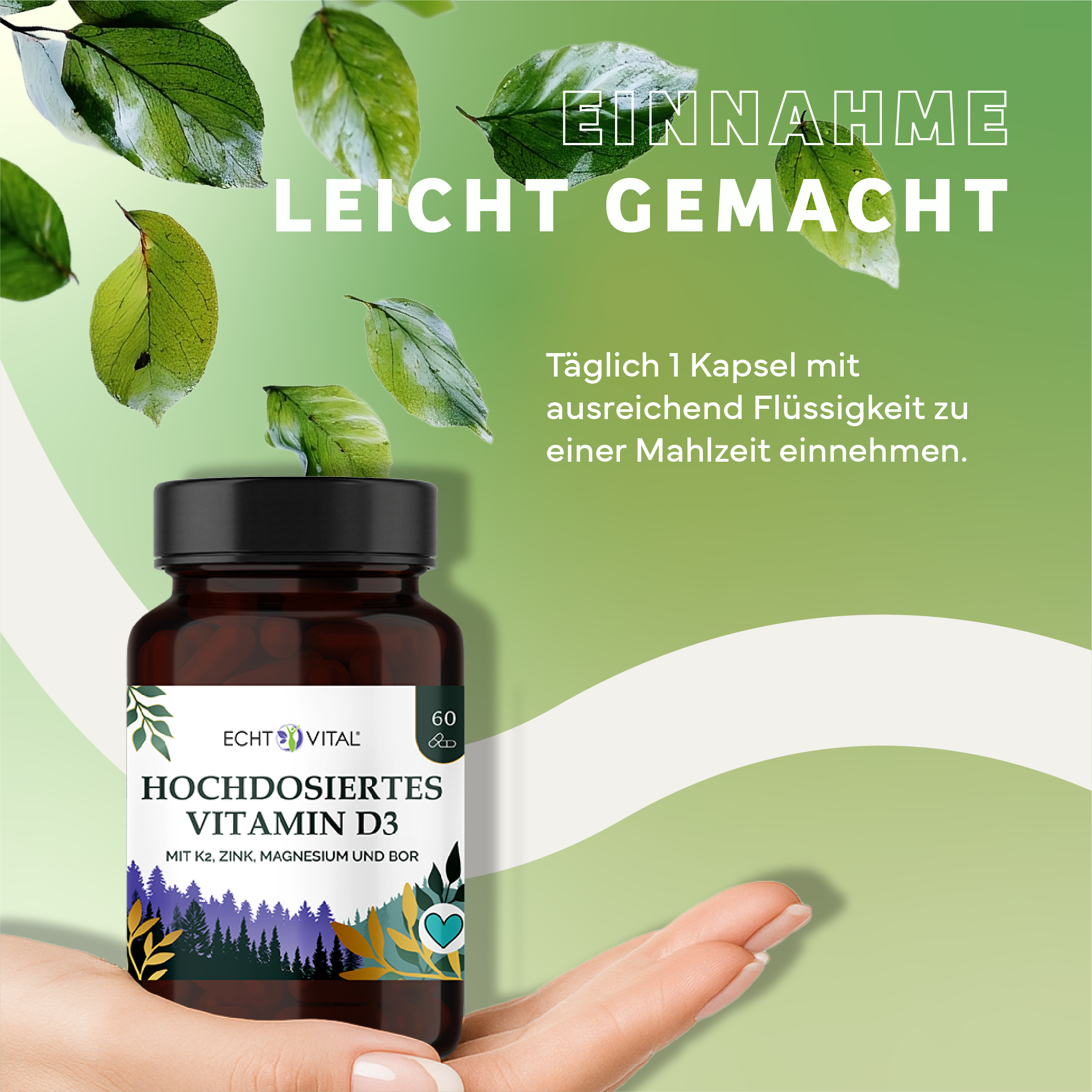 Kräuter, Werbung, Astragalus, Plakat, Kräuterig, Kräuter, Werbung, Blatt, Astragalus