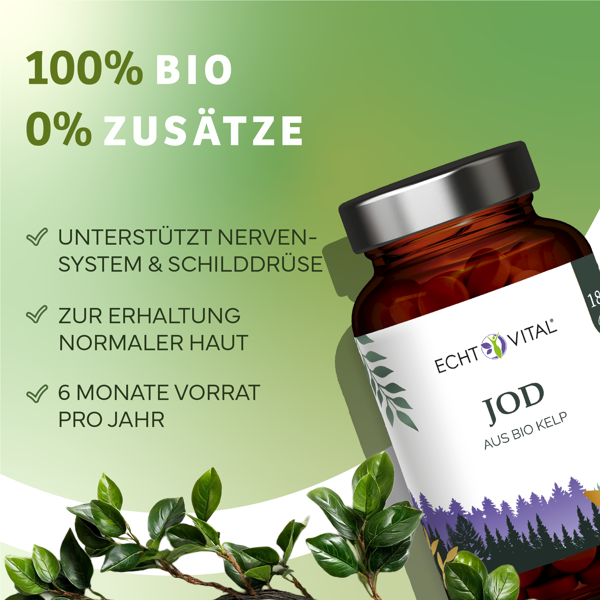 Kräuter, Pflanze, Werbung, Astragalus