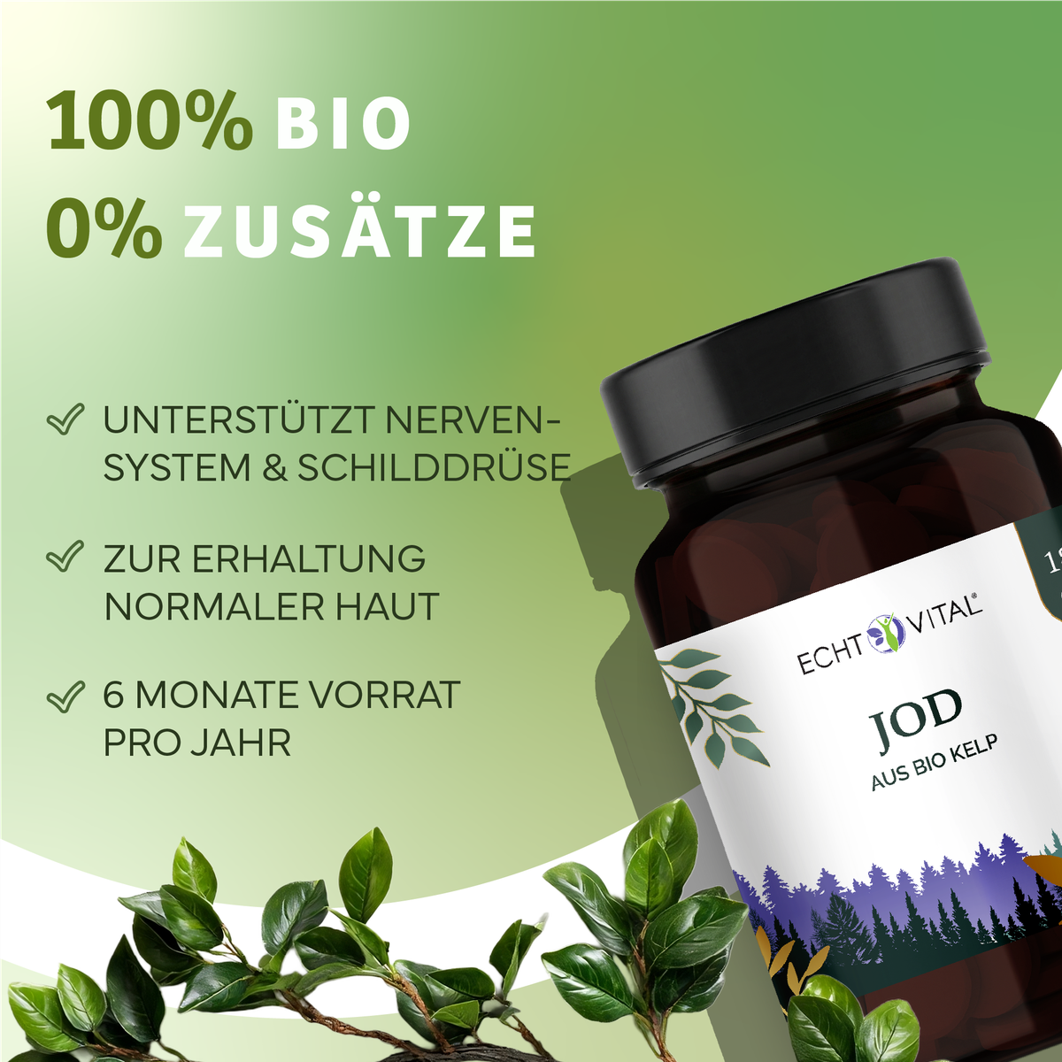 Kräuter, Pflanze, Werbung, Astragalus, Kräuterig, Kräuter, Pflanze, Astragalus, Werbung, Jod, Bio, Kapseln, aus Bio-Kelp, natürliche Nährstoffe