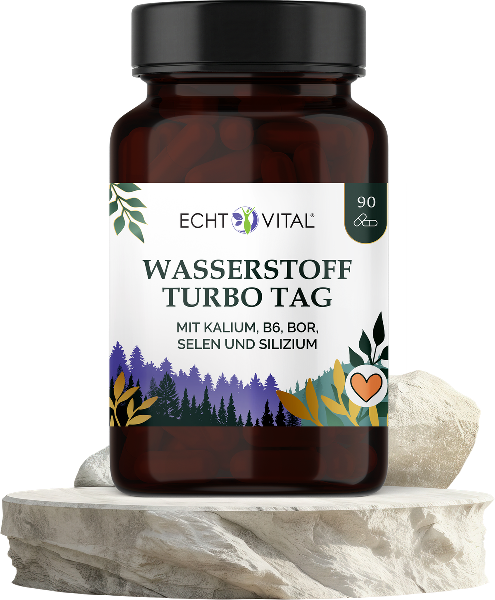 Kräuter, Pflanze, Astragalus, Blume, Kräuterig, Kräuter, Pflanze, Astragalus, Blume, Wasserstoff, Turbo Tag, Kapseln, Kalium, Bor, Wasserstoff, Turbo Tag, Kalium, Bor, Selen