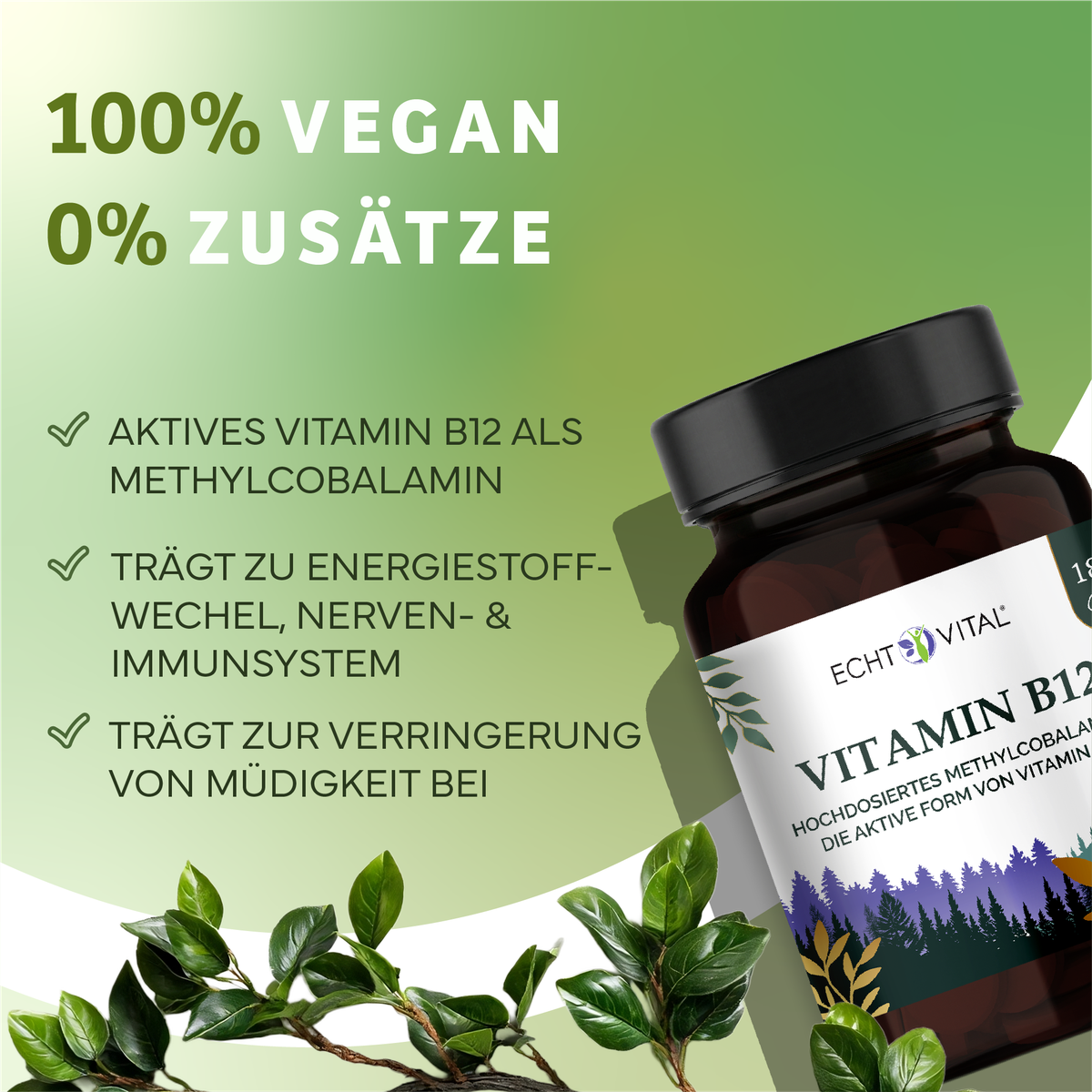 Kräuterig, Kräuter, Pflanze, Werbung, Astragalus, Vitamin B12, Methylcobalamin, Nahrungsergänzung, Grüner Hintergrund, Pflanzenbild