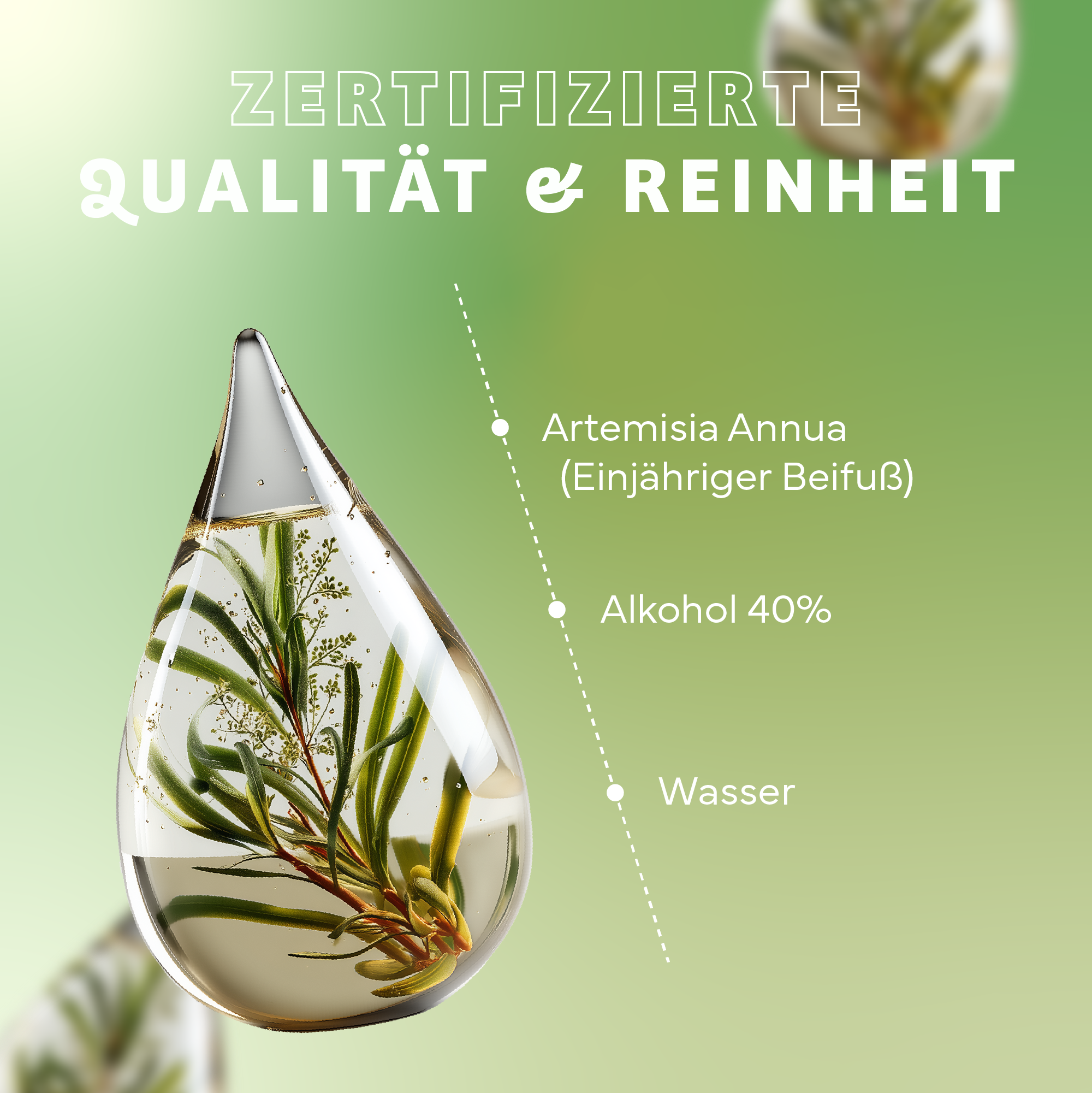 Kräuter, Pflanze, Werbung, Tröpfchen, Plakat