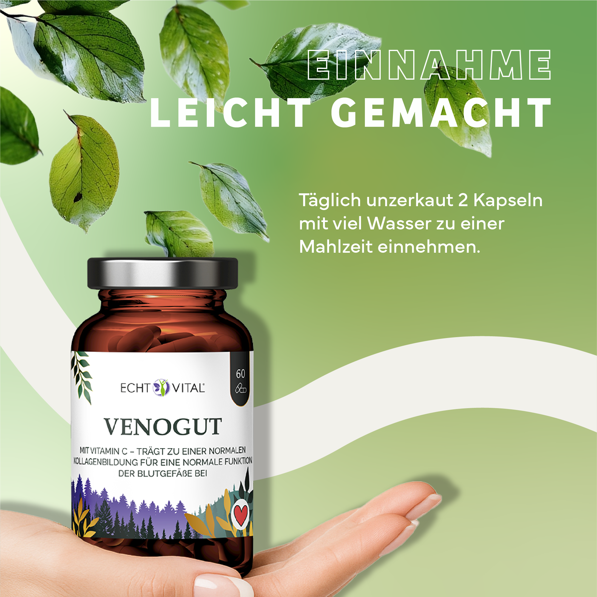 Kräuter, Werbung, Plakat, Astragalus