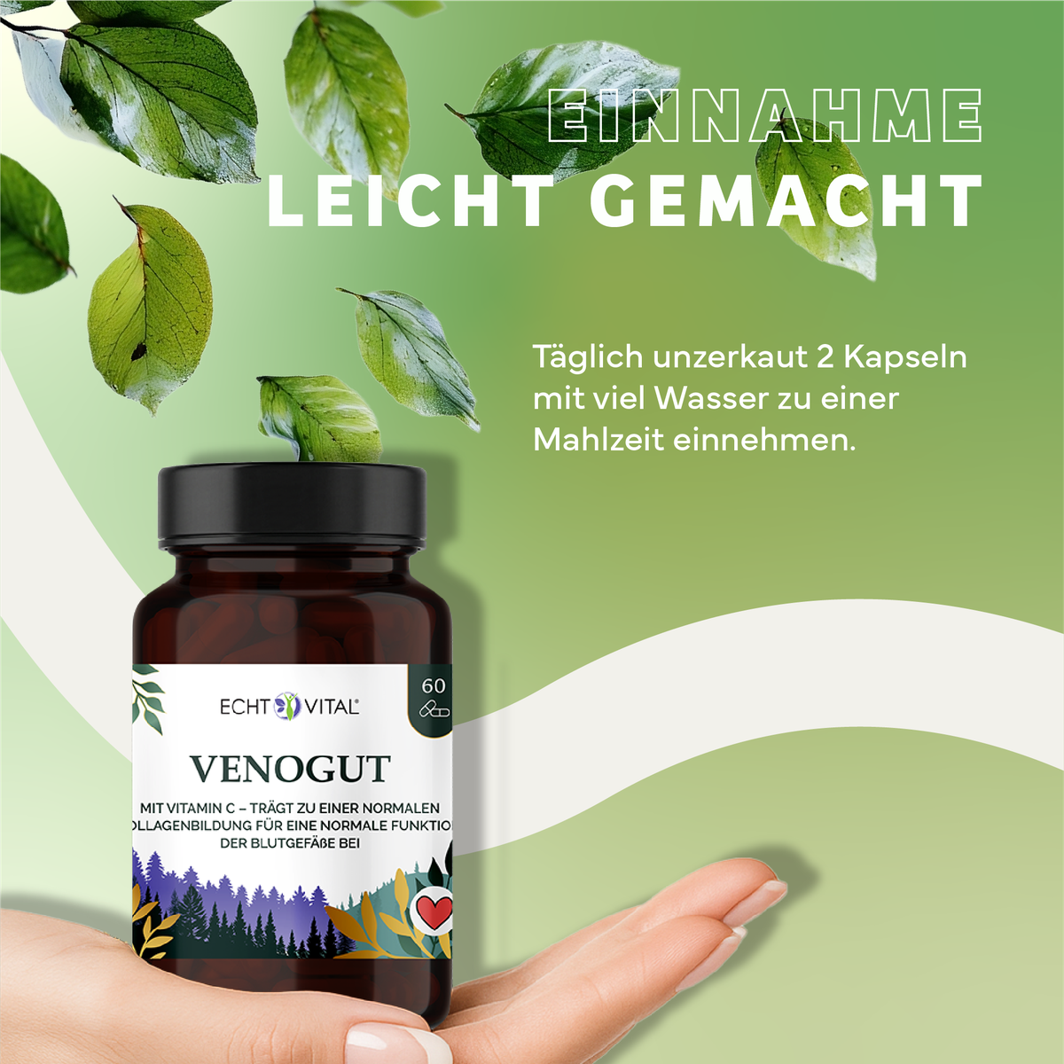 Kräuter, Werbung, Plakat, Astragalus, Kräuterig, Kräuter, Werbung, Plakat, Astragalus, Vitamine, Kapseln, Venogut, Glas Flasche, Grünes Design