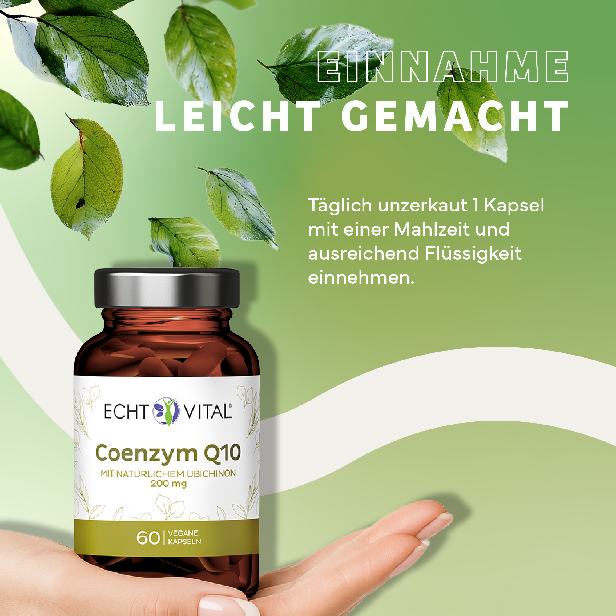 Kräuterig, Kräuter, Werbung, Plakat, Sirup