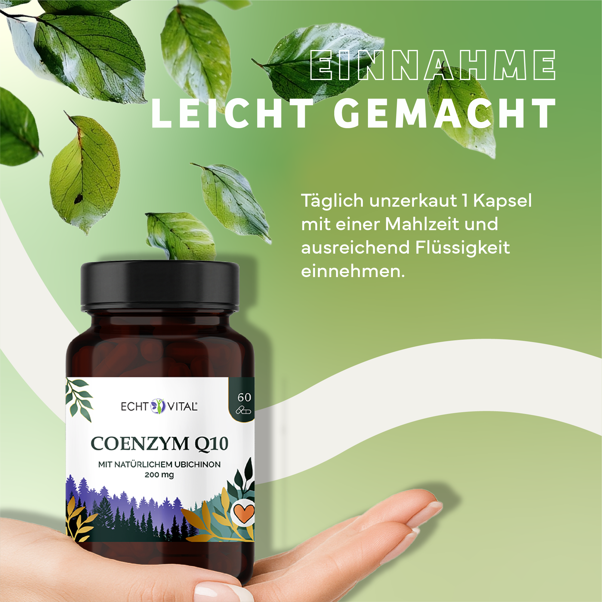 Kräuterig, Kräuter, Werbung, Plakat, Sirup, Kräuterig, Kräuter, Werbung, Astragalus, Blatt