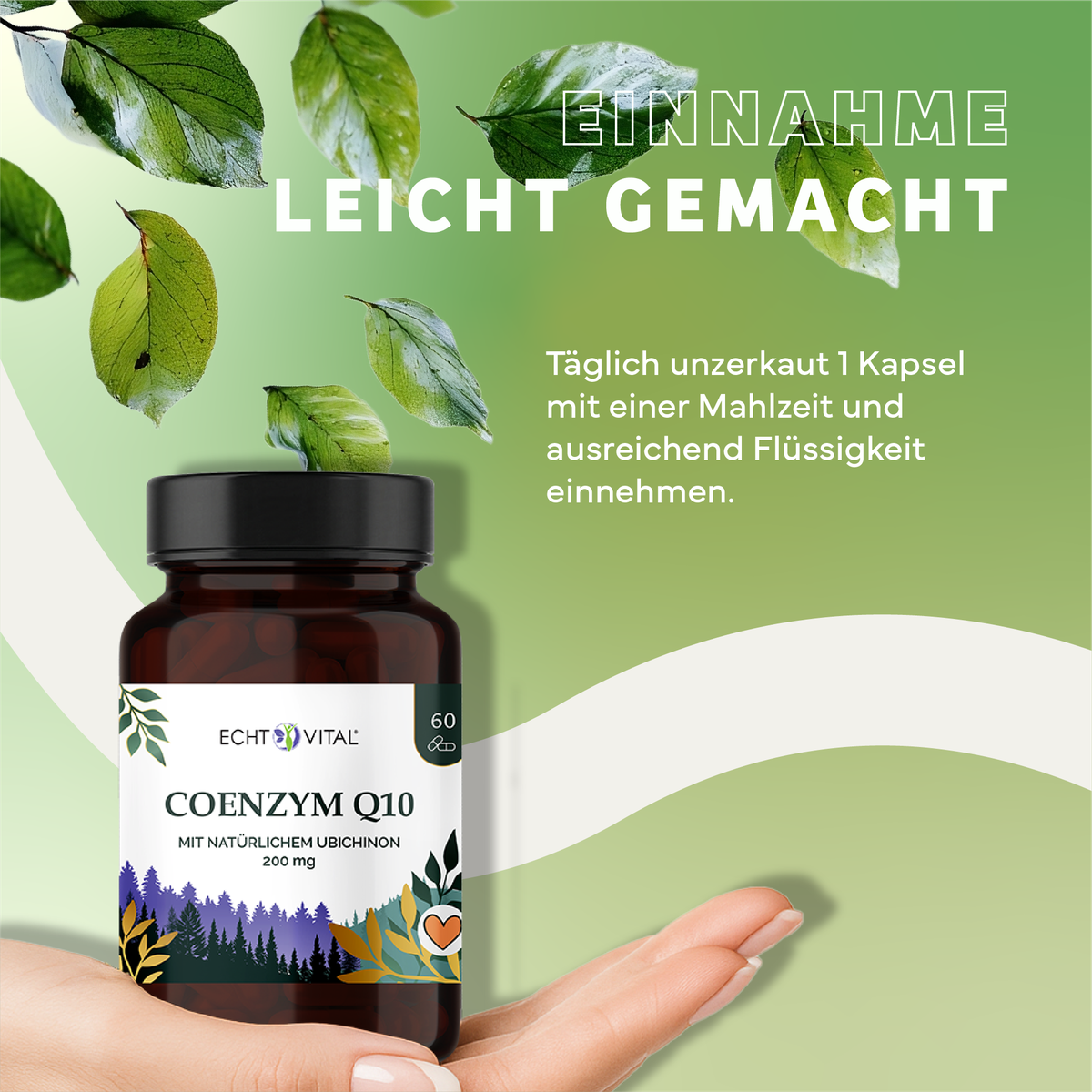 Kräuterig, Kräuter, Werbung, Plakat, Sirup, Kräuterig, Kräuter, Werbung, Astragalus, Blatt, CoQ10, Kapseln, Vitamine, Nahrungsergänzung, Coenzym Q10