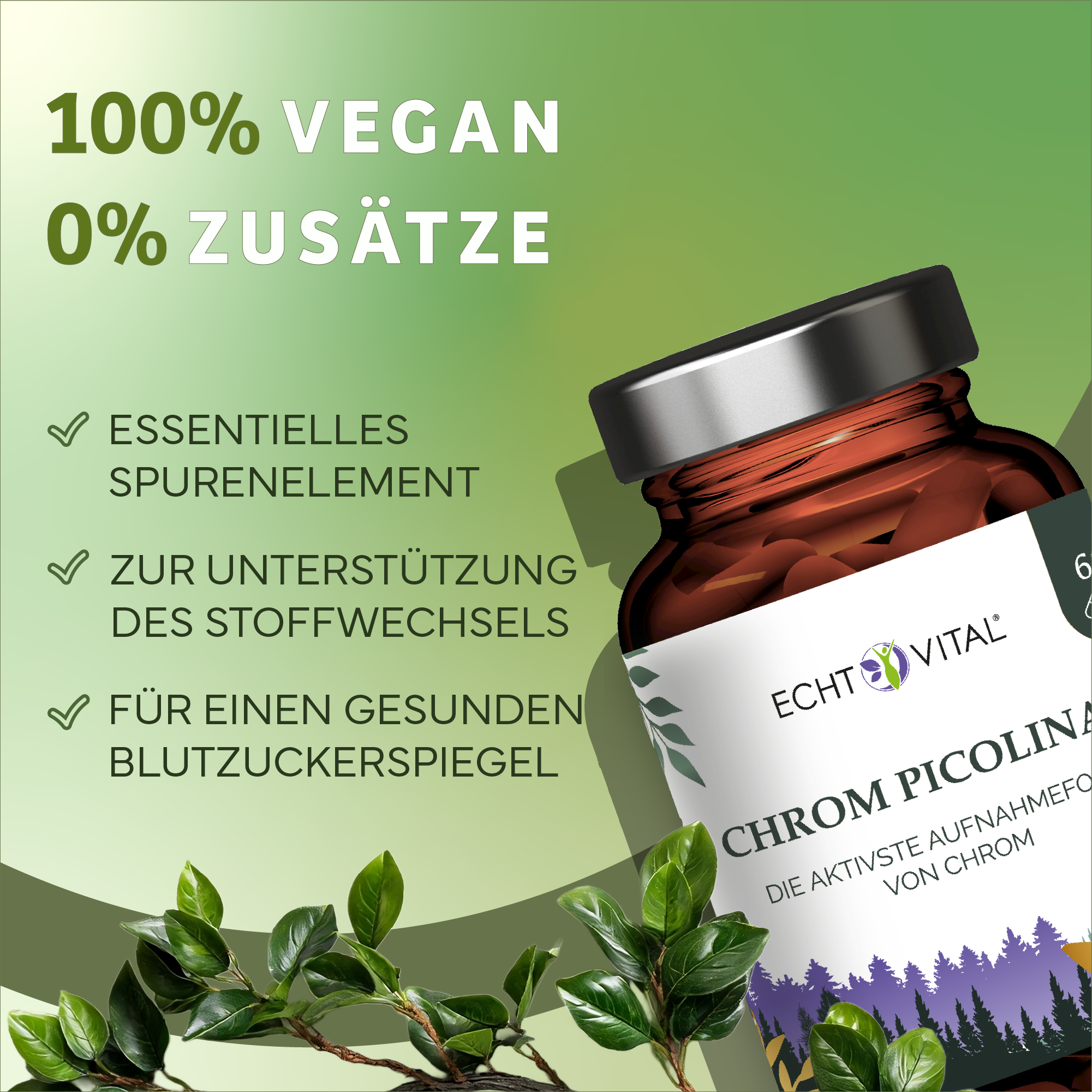 Kräuterig, Kräuter, Pflanze, Werbung, Kräuterig, Kräuter, Werbung, Astragalus, Blume, Kräuter, Astragalus, Werbung, Visitenkarte, Kräuter, Werbung, Astragalus, Blume, Kräuter, Werbung, Astragalus, Blume