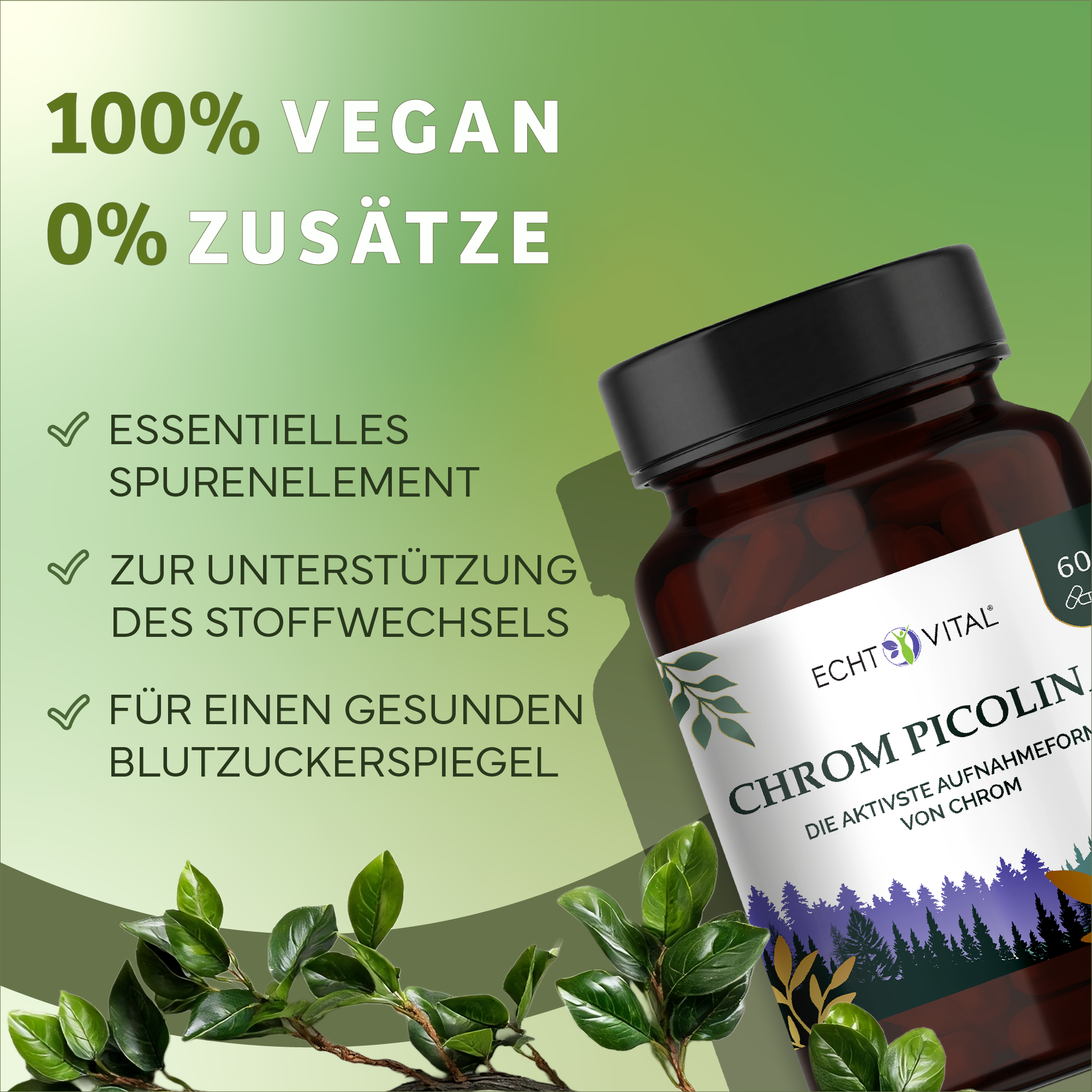 Kräuterig, Kräuter, Pflanze, Werbung, Kräuterig, Kräuter, Werbung, Astragalus, Blume, Kräuter, Astragalus, Werbung, Visitenkarte, Kräuter, Werbung, Astragalus, Blume, Kräuter, Werbung, Astragalus, Blume, Kräuterig, Kräuter, Pflanze, Werbung, Astragalus