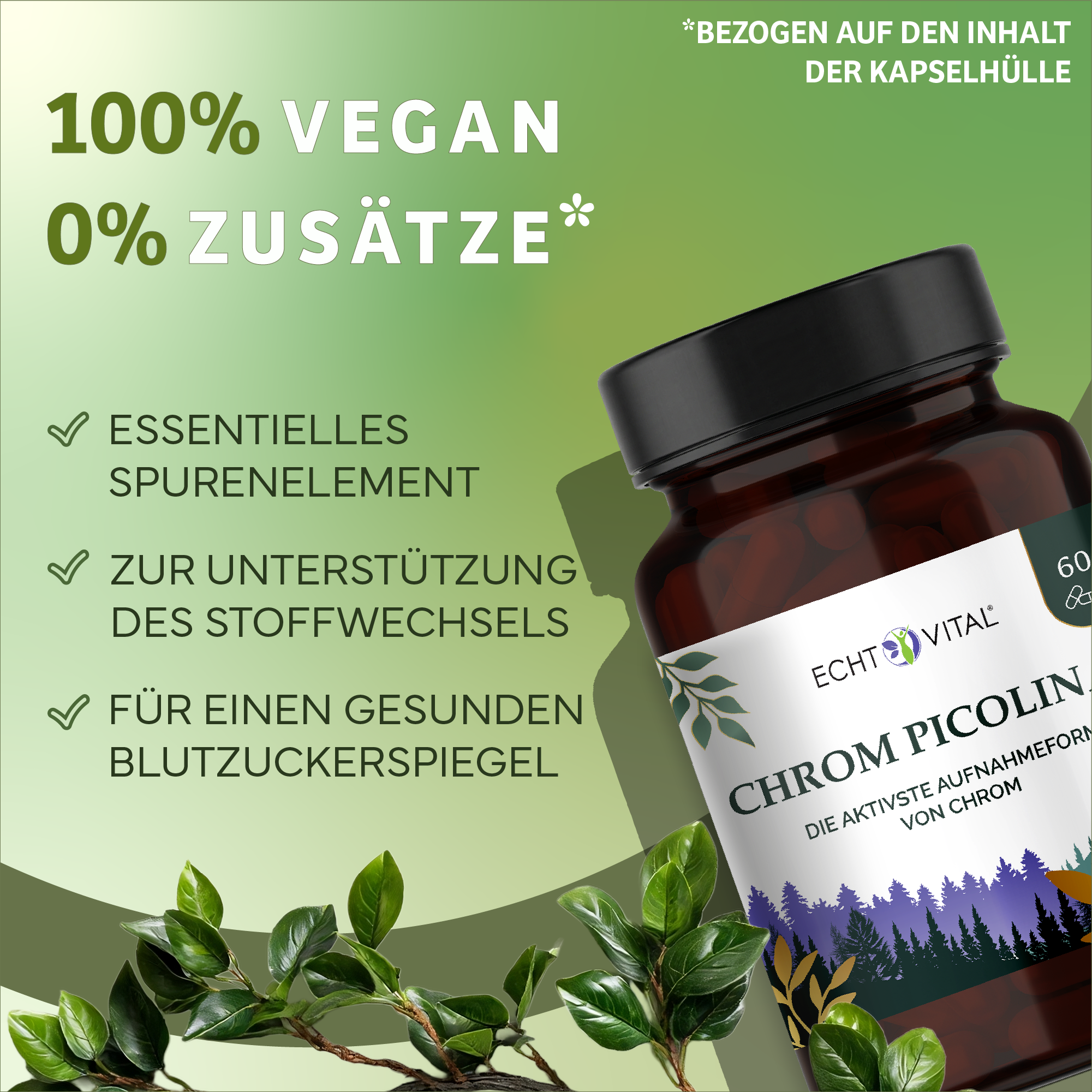 Kräuterig, Kräuter, Pflanze, Werbung, Kräuterig, Kräuter, Werbung, Astragalus, Blume, Kräuter, Astragalus, Werbung, Visitenkarte, Kräuter, Werbung, Astragalus, Blume, Kräuter, Werbung, Astragalus, Blume, Kräuterig, Kräuter, Pflanze, Werbung, Astragalus, V