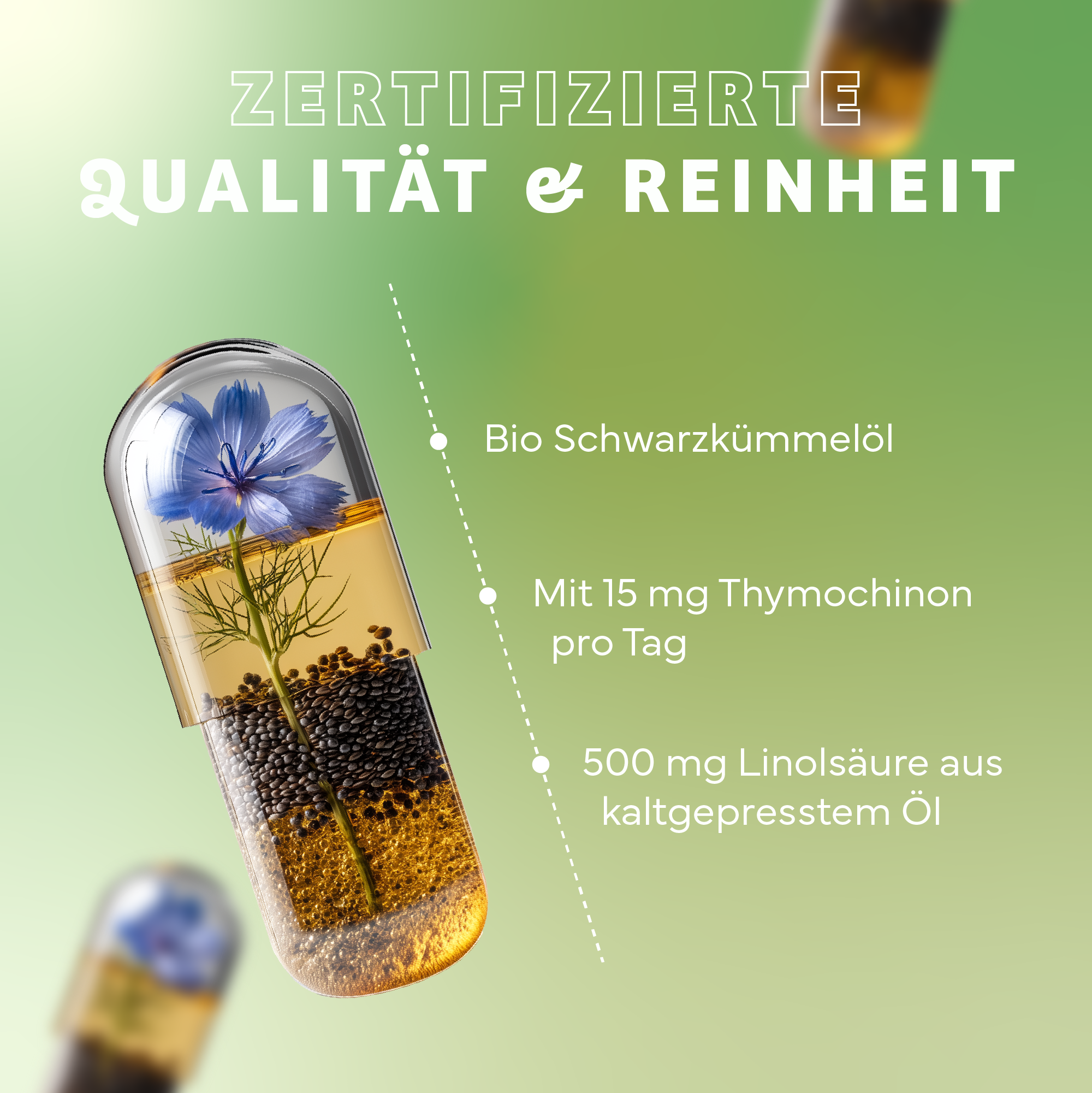 Kräuterig, Kräuter, Pflanze