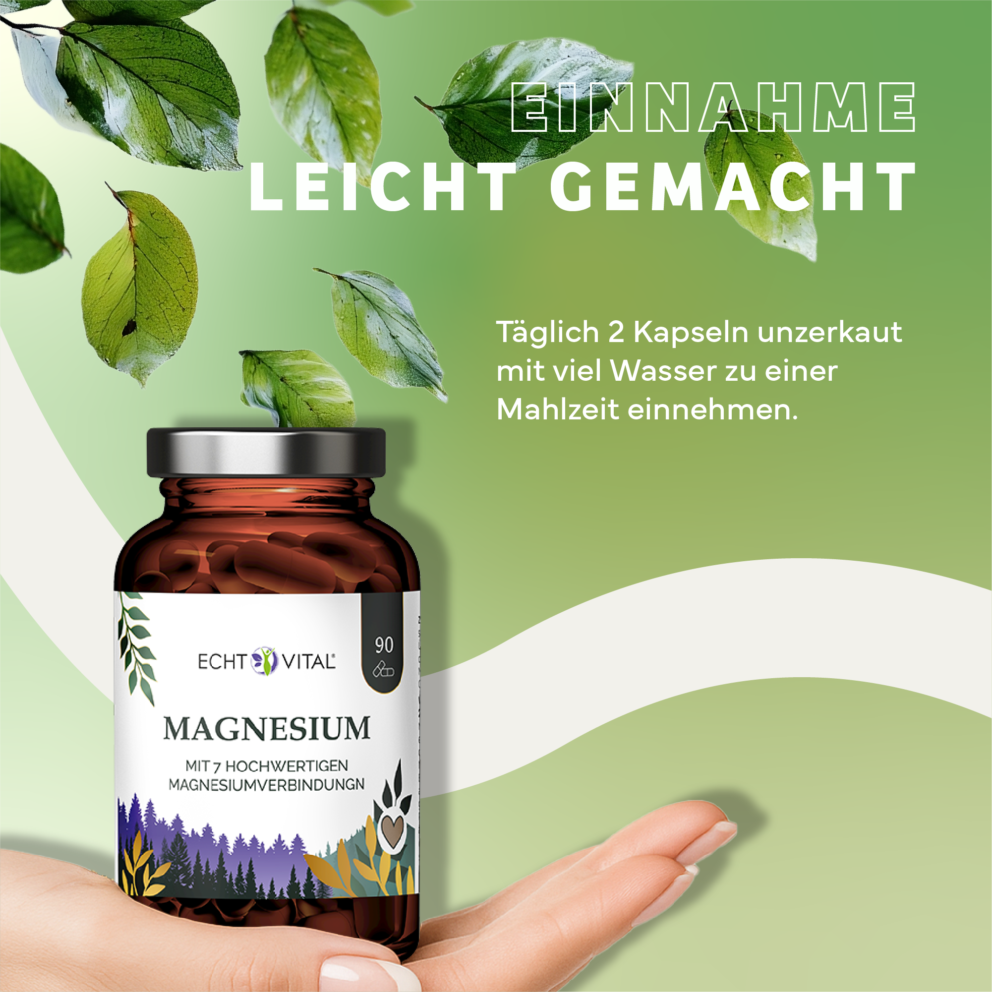 Kräuter, Werbung, Plakat, Astragalus