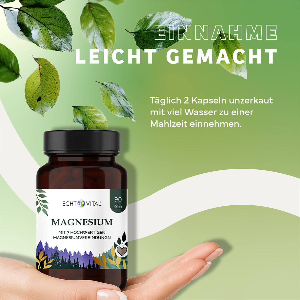 Kräuter, Werbung, Plakat, Astragalus, Kräuterig, Kräuter, Werbung, Astragalus, Blatt, Magnesium, Nahrungsergänzung, Kapseln, Magnesiumverbindungen, Glasflasche