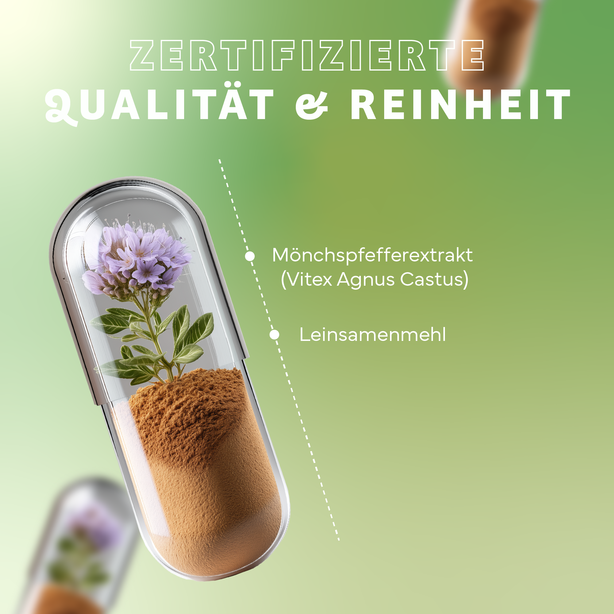 Kräuterig, Kräuter, Pflanze, Werbung, Plakat