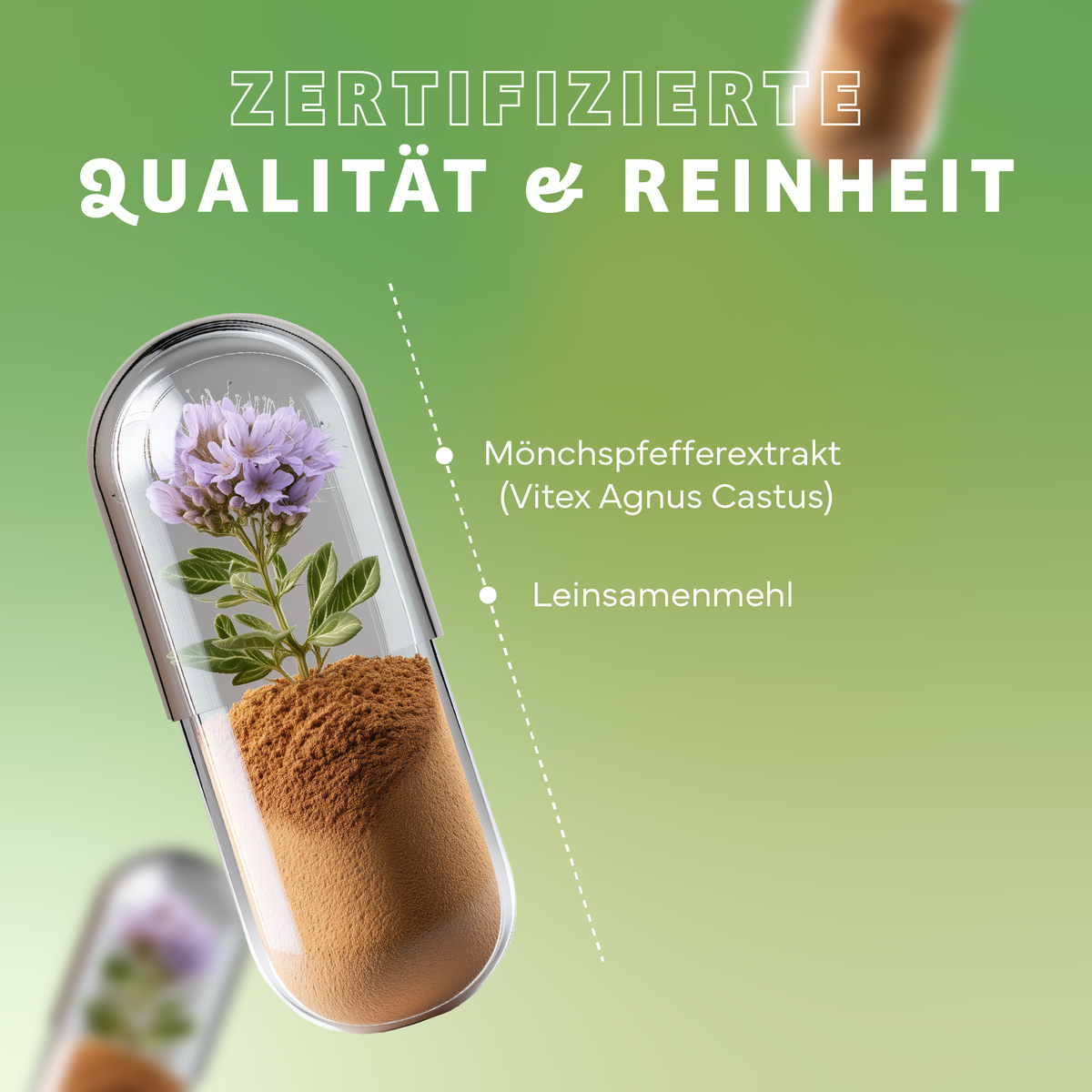 Kräuterig, Kräuter, Pflanze, Werbung, Plakat, Kräuterig, Kräuter, Pflanze, Werbung, pflanze, blumen, glasbehälter, bodenpulver, extrakt