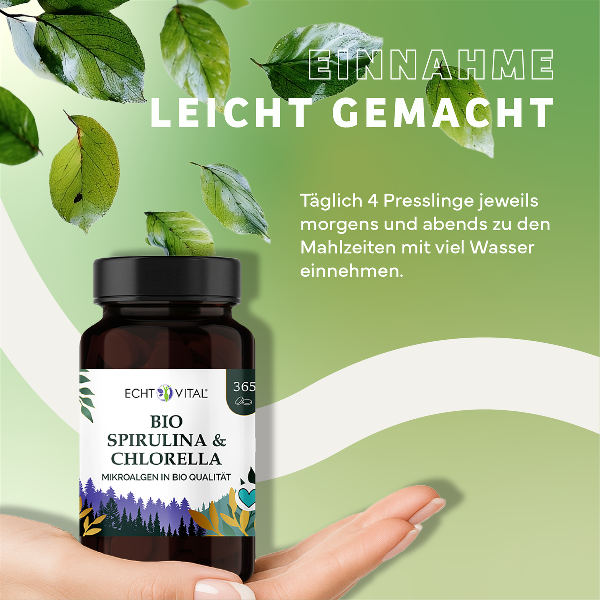 Kräuter, Werbung, Blatt, Sirup, Kräuterig, Kräuter, Werbung, Astragalus, Blatt, Bio, Spirulina, Chlorella, Mikroalgen, Nahrungsergänzung