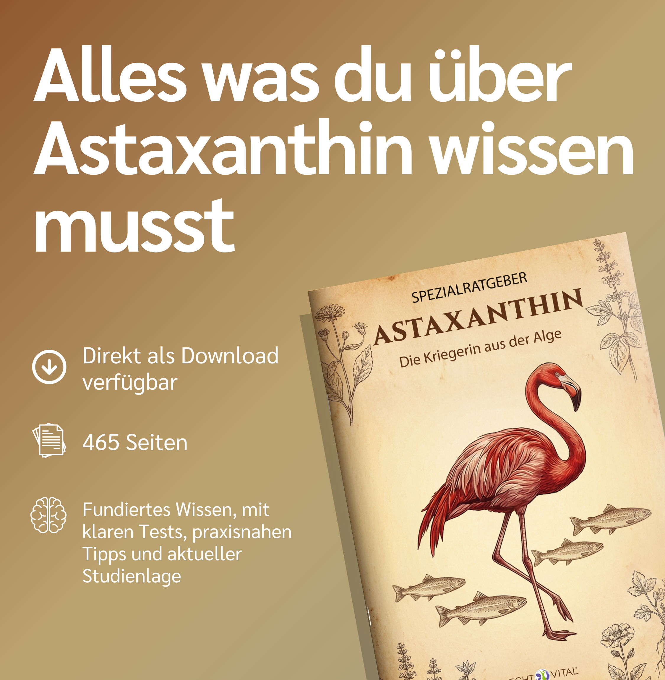 Werbung, Plakat, Tier, Vogel, Fische