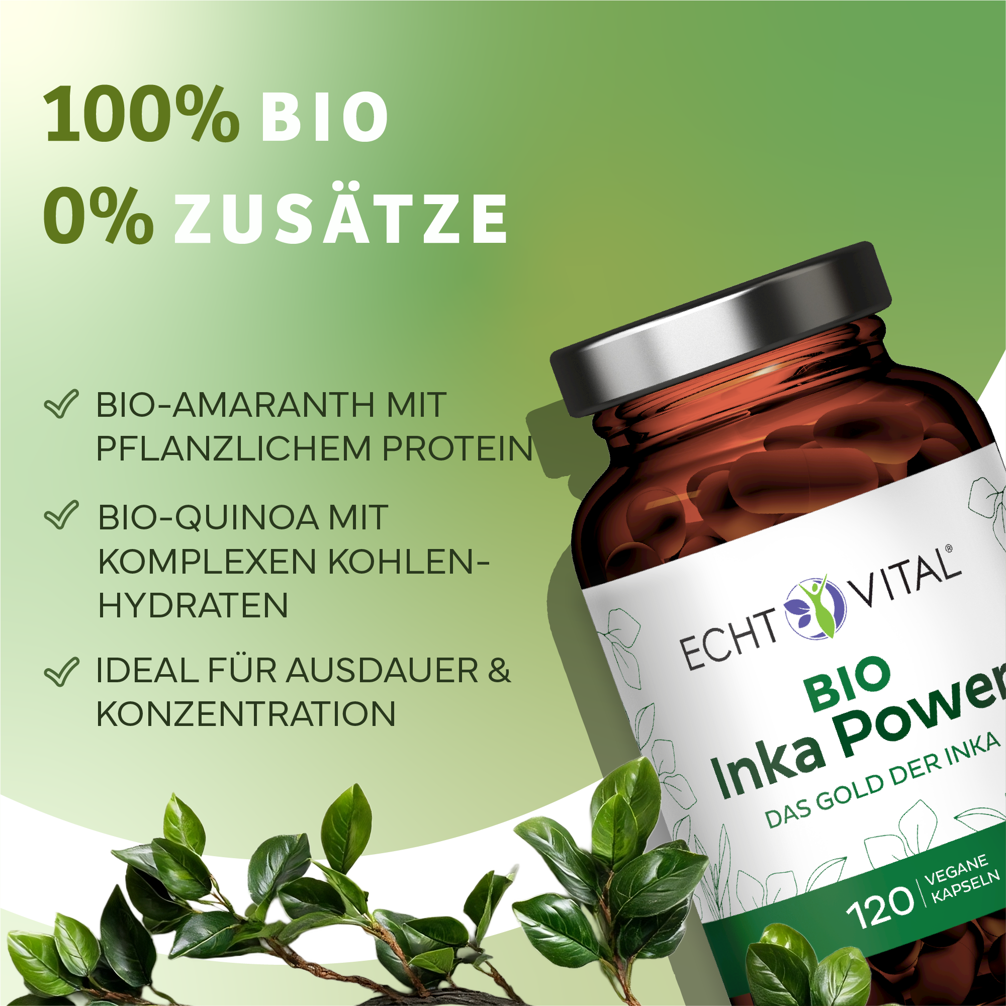 Kräuter, Werbung, Astragalus, Person