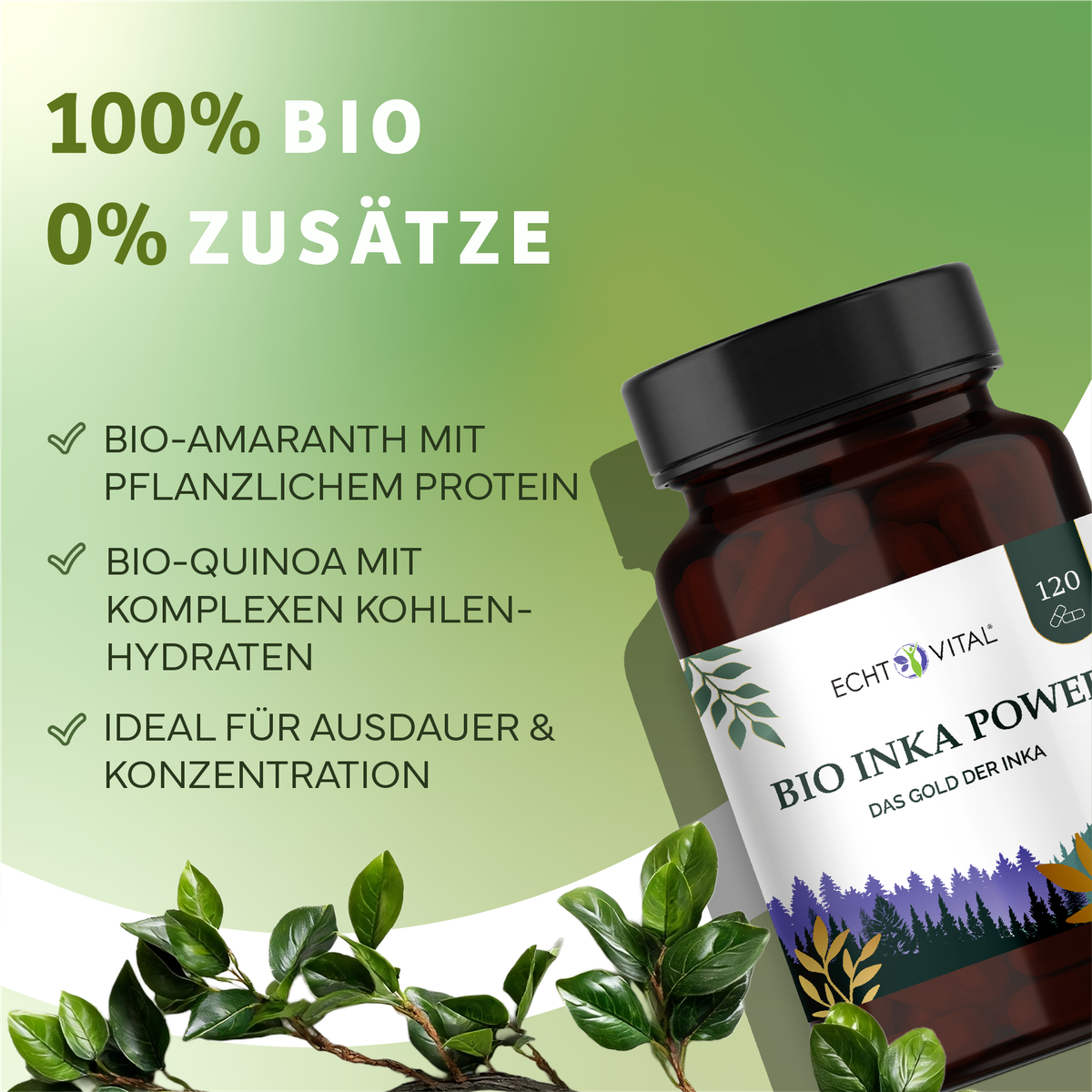 Kräuter, Werbung, Astragalus, Person, Kräuterig, Kräuter, Pflanze, Astragalus, Blume, Bio, Inka Power, Kapseln, Pflanzenprotein, Konzentration