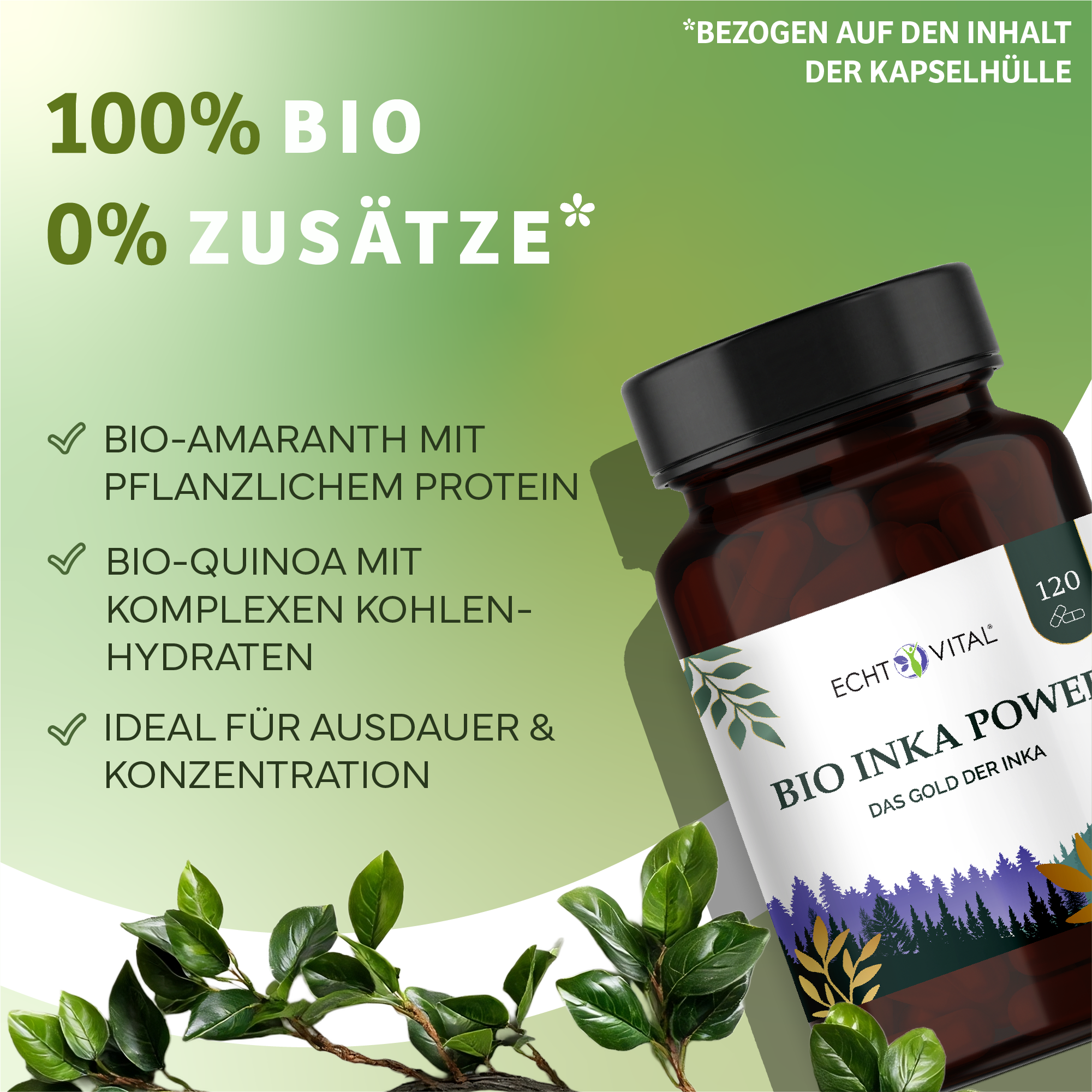 Kräuter, Werbung, Astragalus, Person, Kräuterig, Kräuter, Pflanze, Astragalus, Blume, Bio, Inka Power, Kapseln, Pflanzenprotein, Konzentration, Bio-Inkapa-Power?, Kapsel-Produkt, Nahrungsergänzung, Bio-Quinoa, Kohlenhydrate?