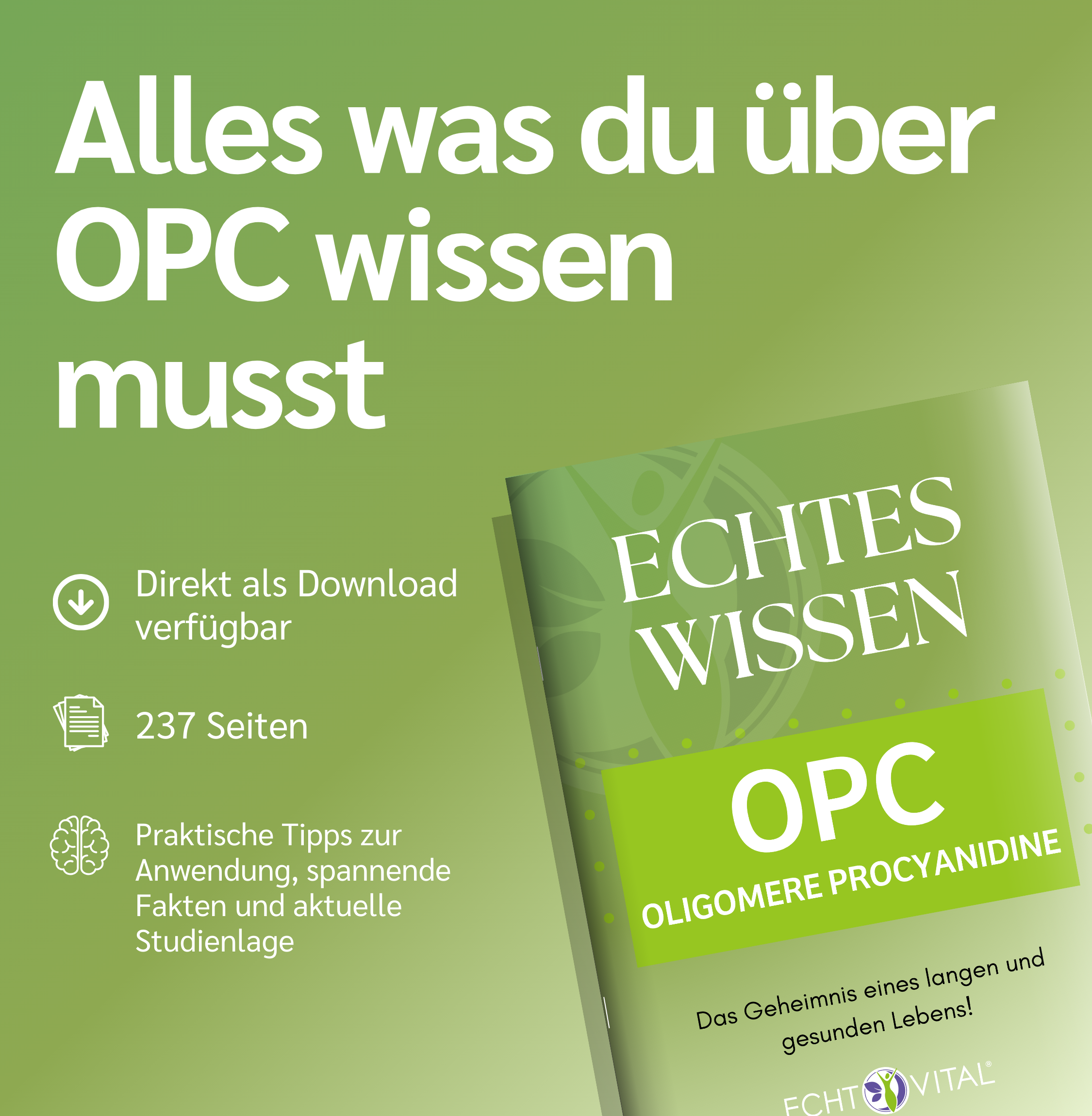 Werbung, Plakat