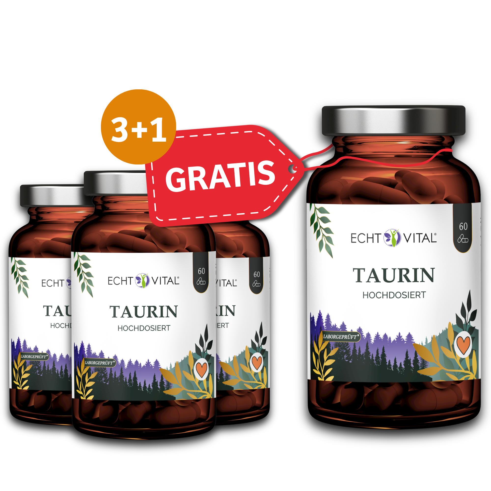 Kräuter, Pflanze, Glas