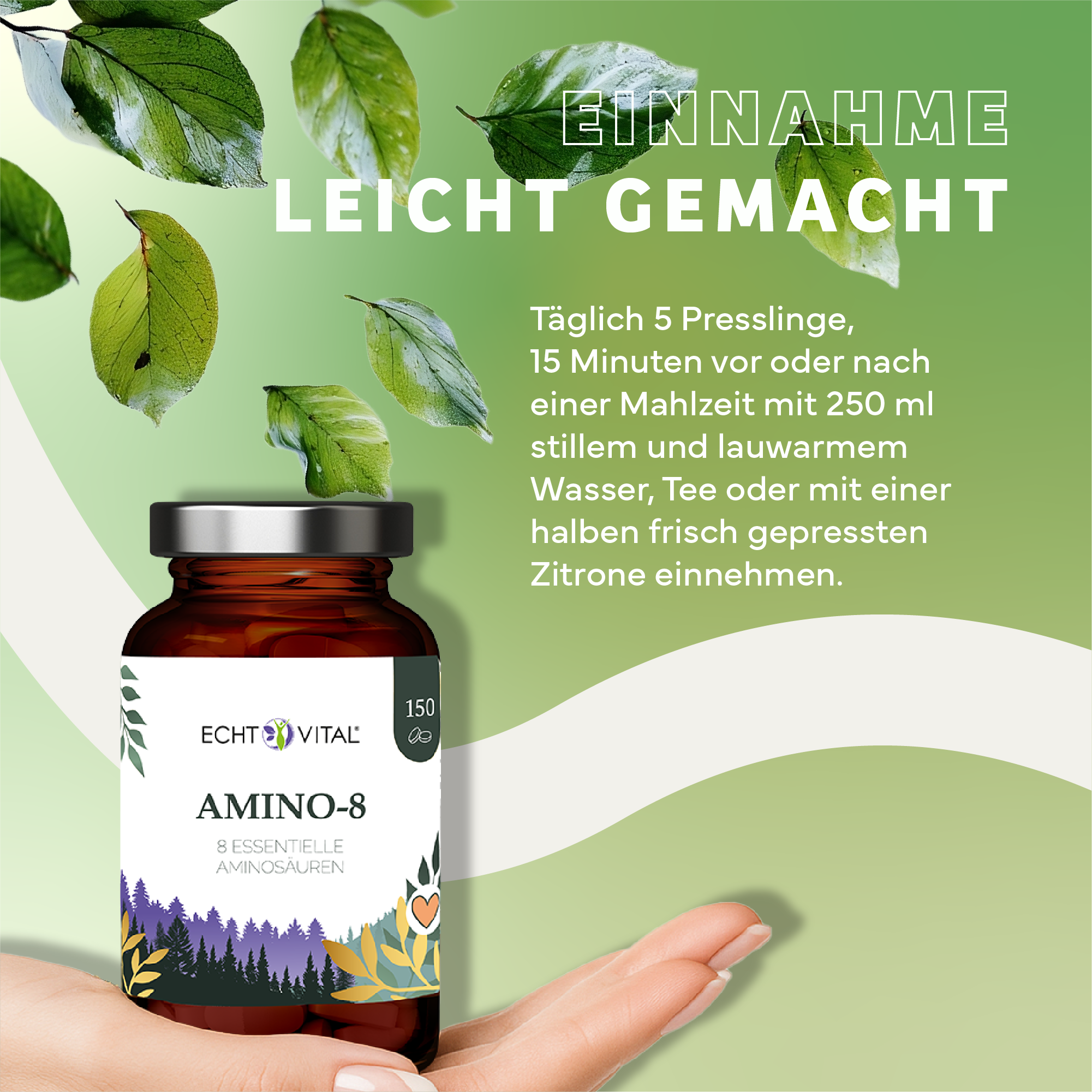 Kräuterig, Kräuter, Werbung, Blatt, Plakat, Kräuterig, Kräuter, Werbung, Blatt, Plakat