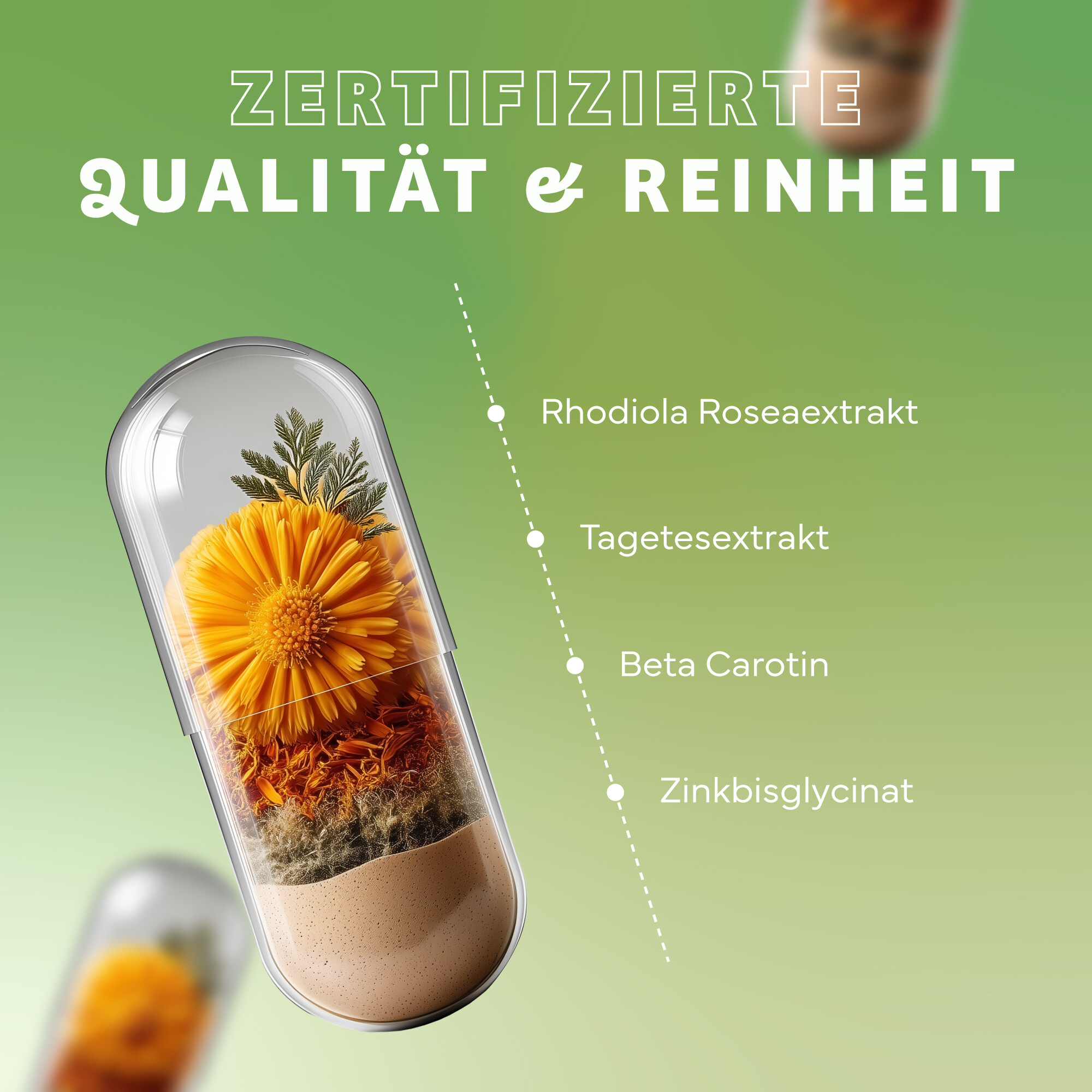 Kräuter, Pflanze, Werbung, Plakat