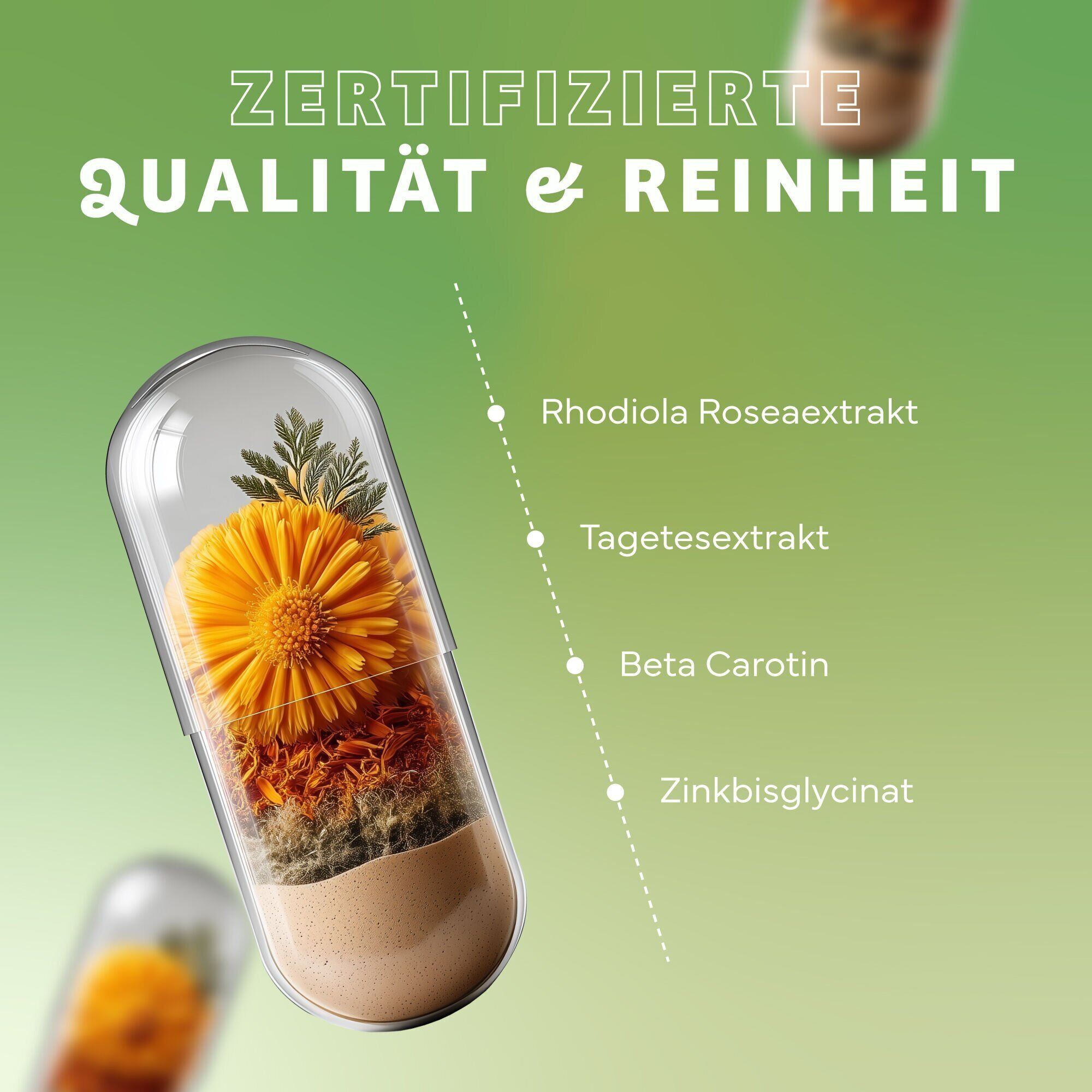 Kräuter, Pflanze, Werbung, Plakat, Pille, Kapsel, Blume Innenraum, Kapsel-Design, Rhodiola Rosea Extrakt