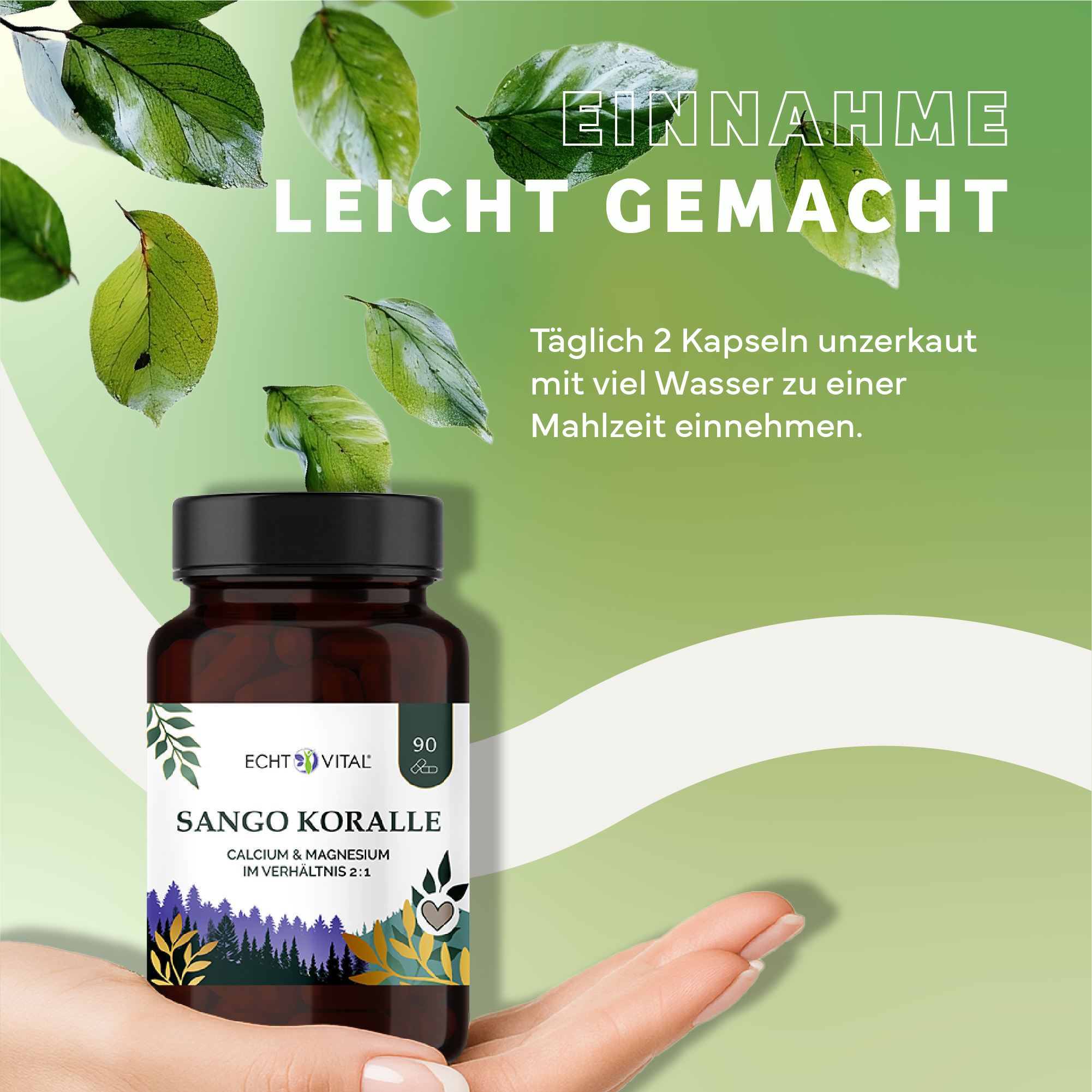 Kräuterig, Kräuter, Werbung, Blatt, Astragalus