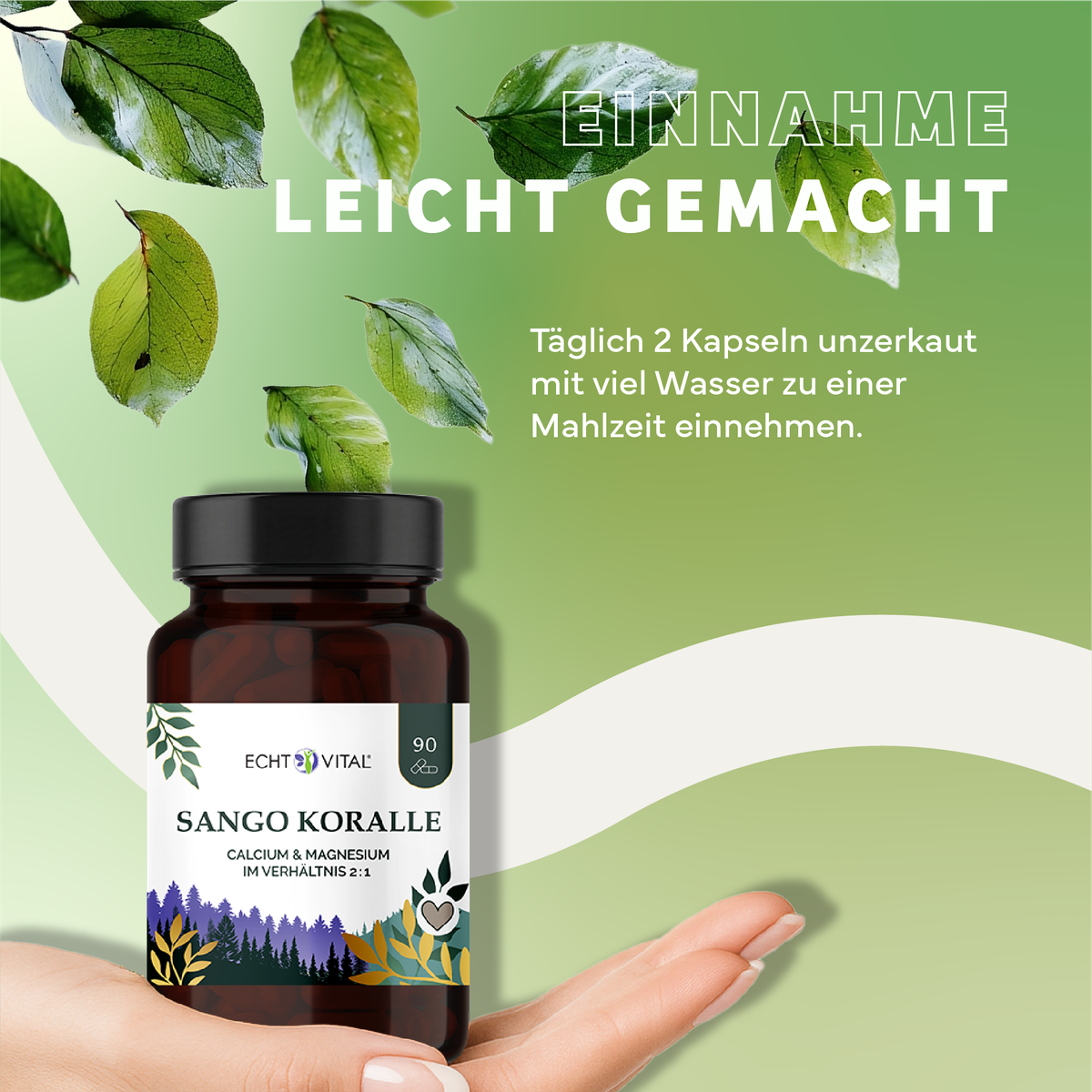 Kräuterig, Kräuter, Werbung, Blatt, Astragalus, Kapseln, Sango Koralle, Calcium Magnesium, Vitaminbestandteil, Nahrungsergänzung