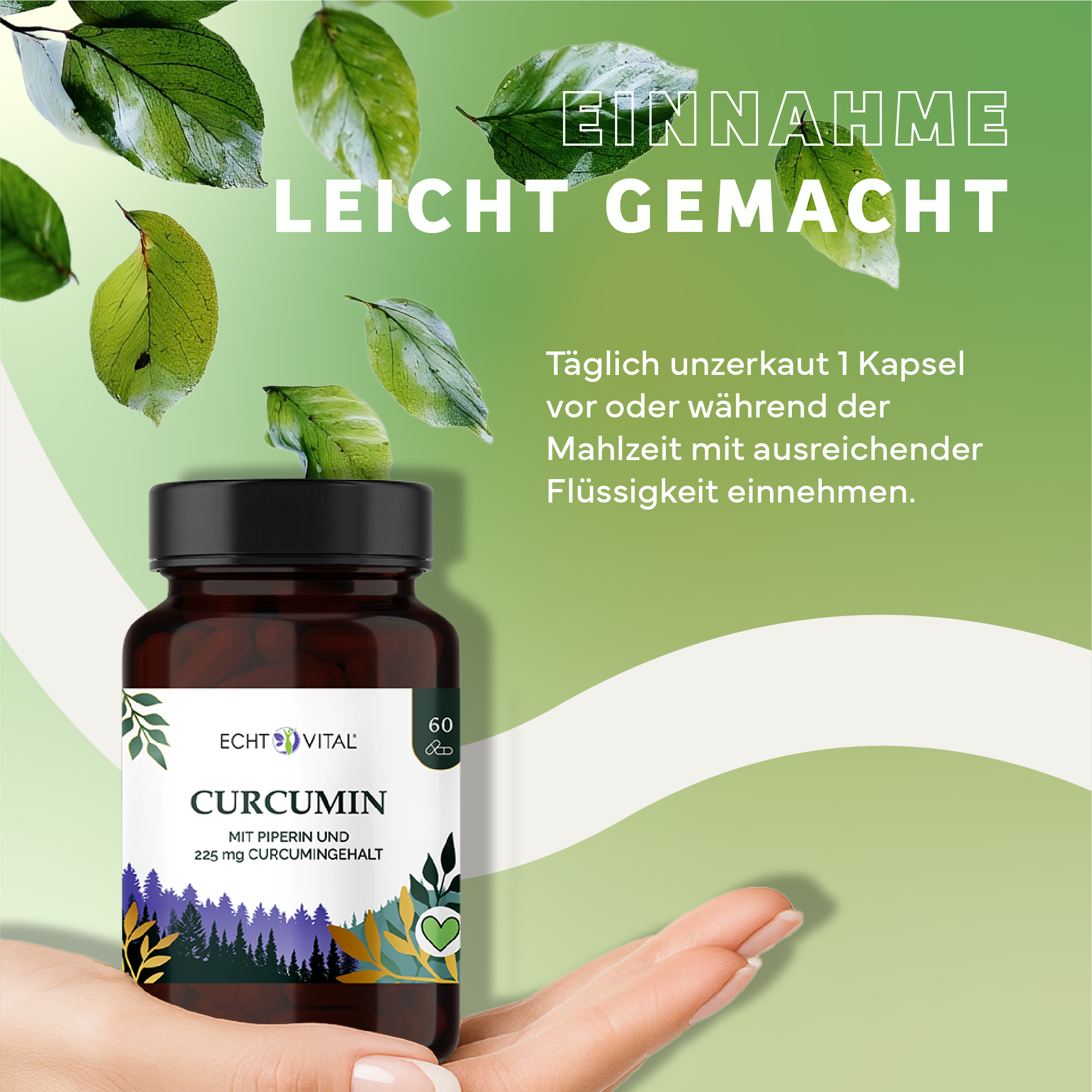 Kräuter, Werbung, Plakat, Sirup, Kräuterig, Kräuter, Werbung, Astragalus, Plakat