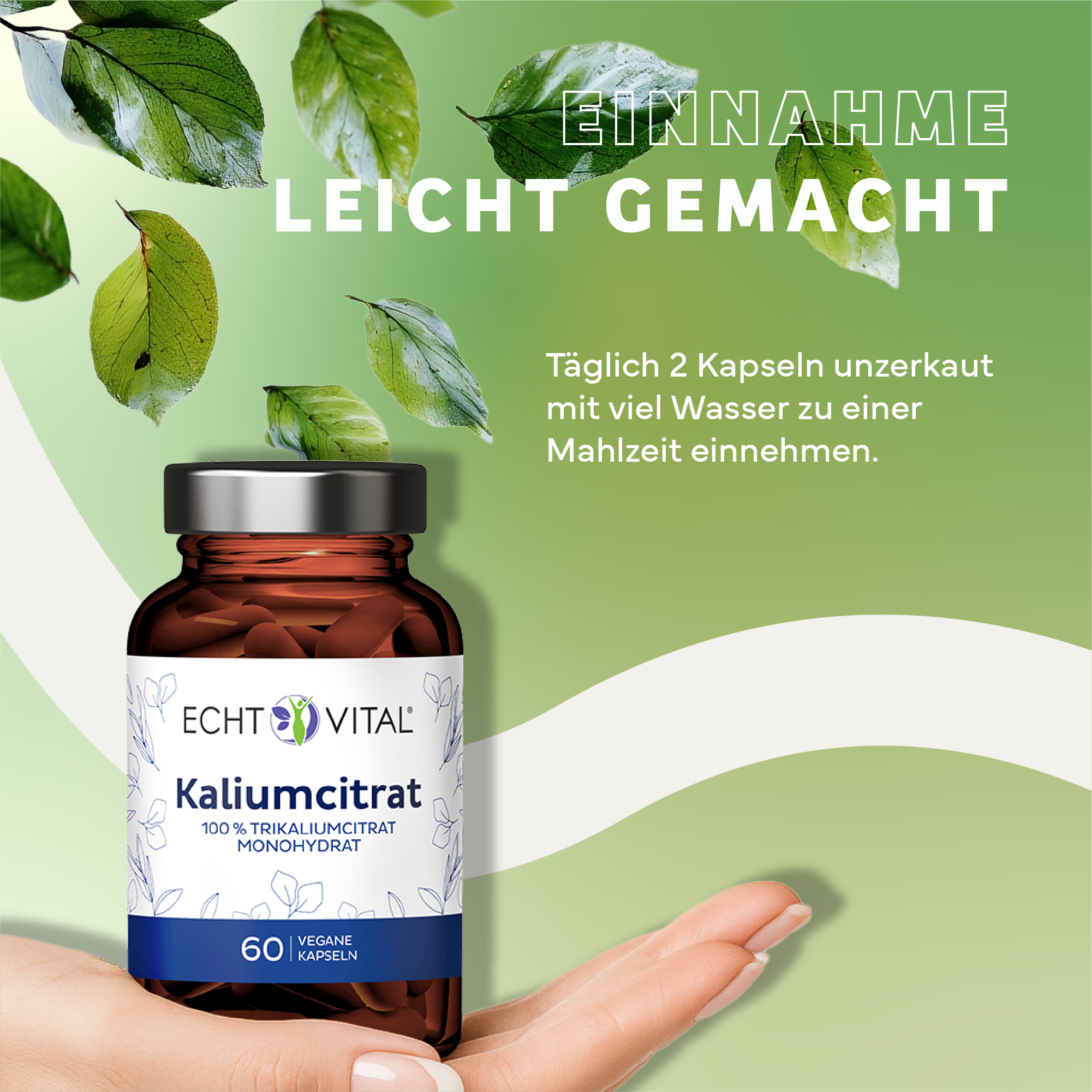 Kräuter, Werbung, Sirup, Plakat