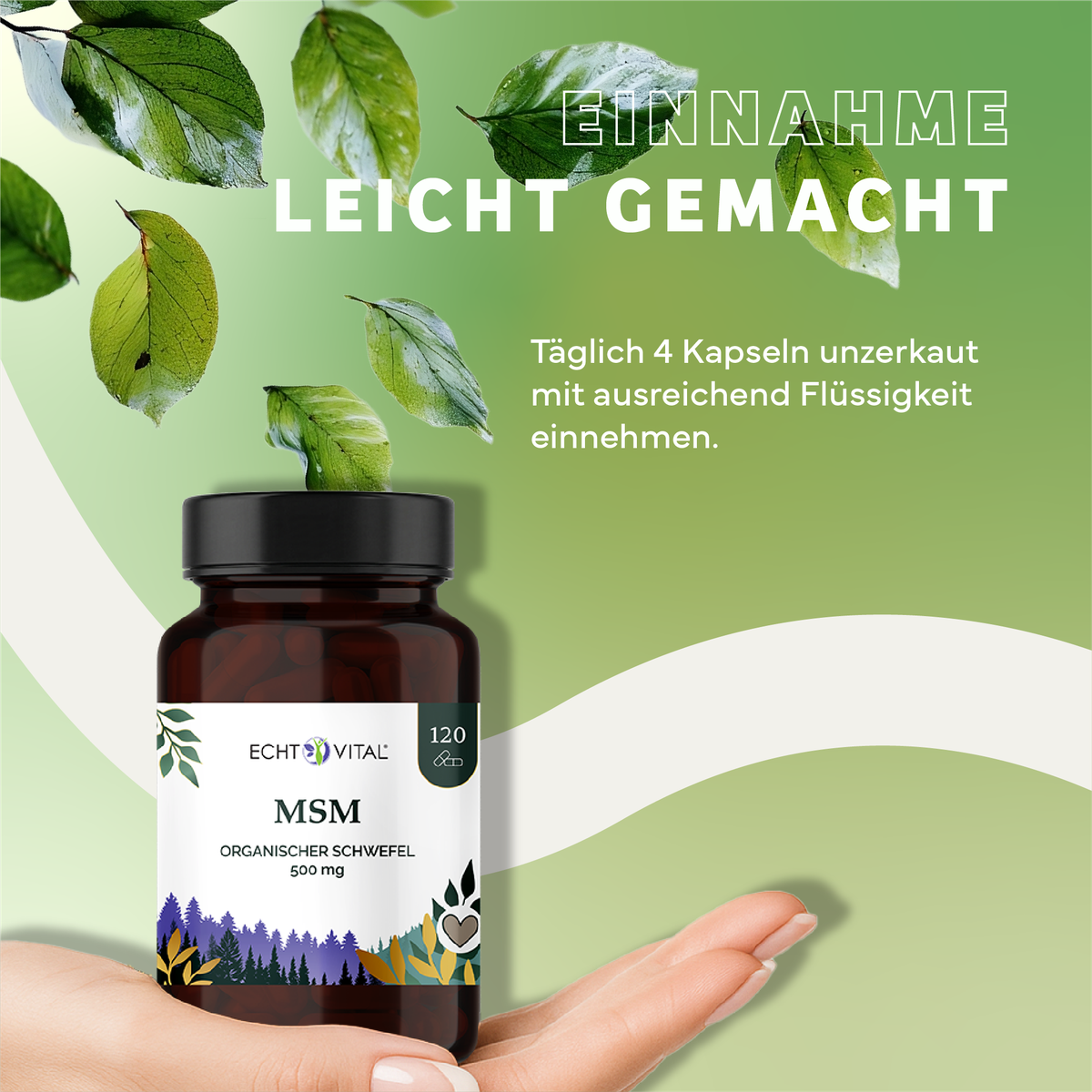 Kapseln, MSM, Organischer Schwefel, 500 mg, Nahrungsergänzung