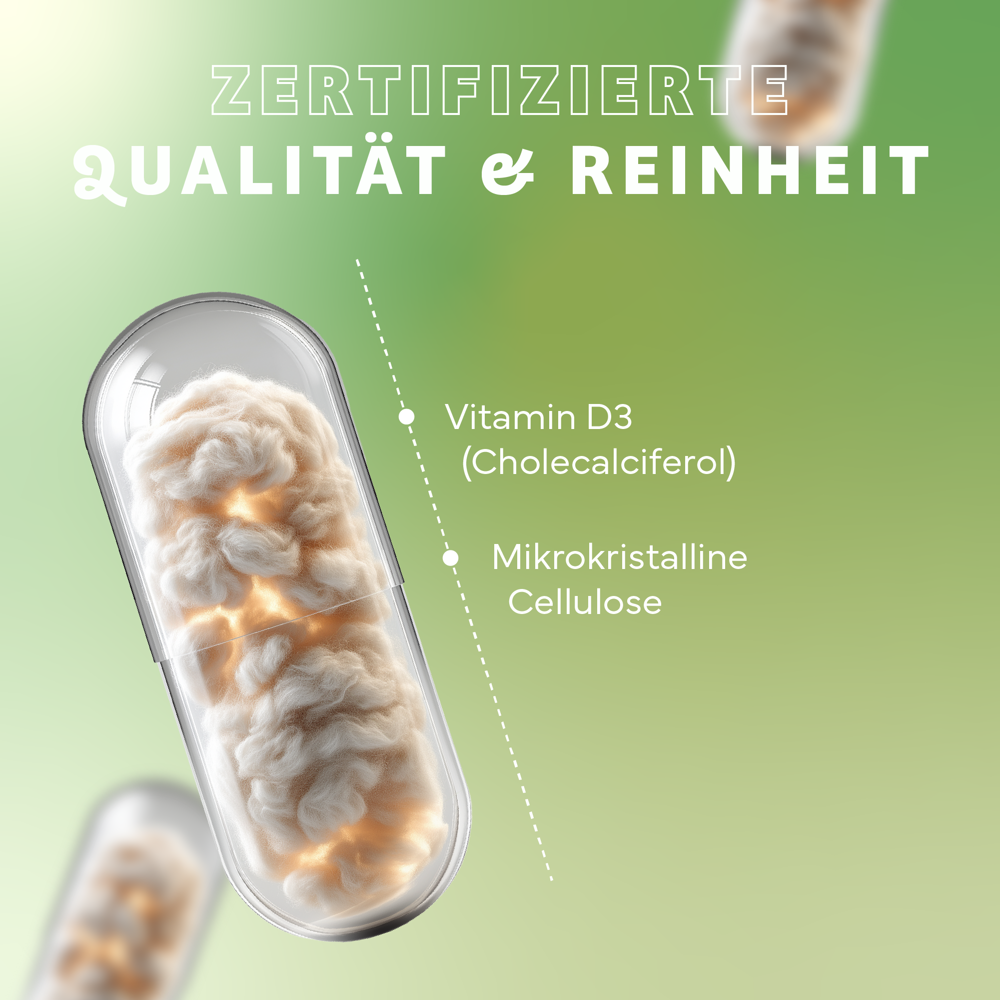 Tier, Hund, Säugetier, Haustier