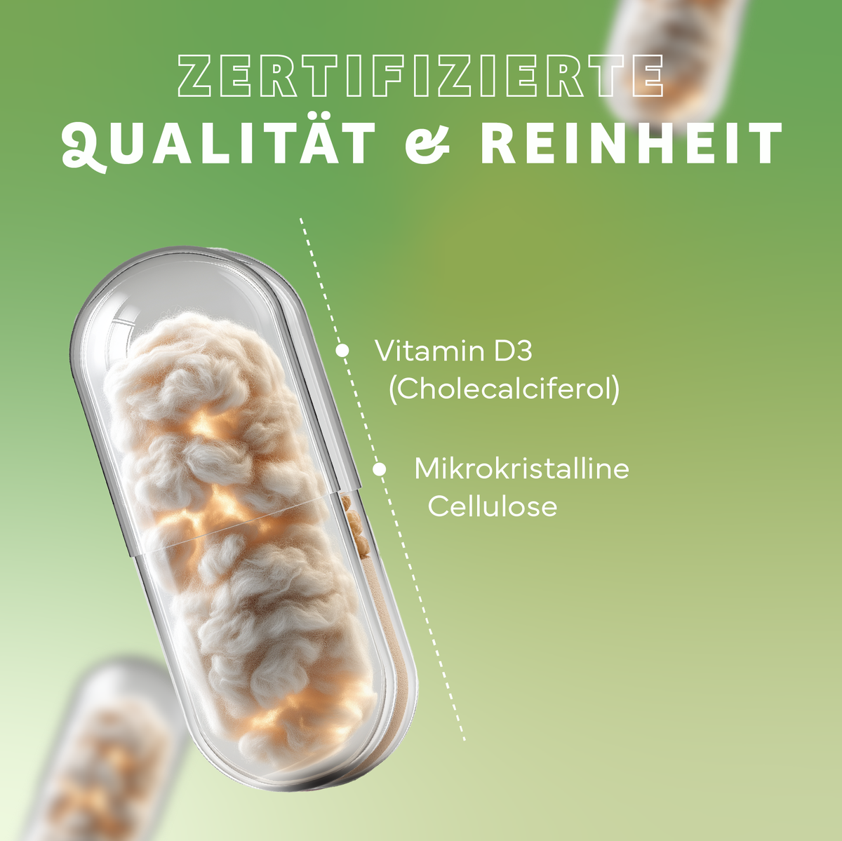 Tier, Hund, Säugetier, Haustier, Tier, Hund, Säugetier, Haustier, Vitamin D3, Cholecalciferol, Mikrokrystalline Cellulose, Kapsel, Pulver/Kapselinhalt