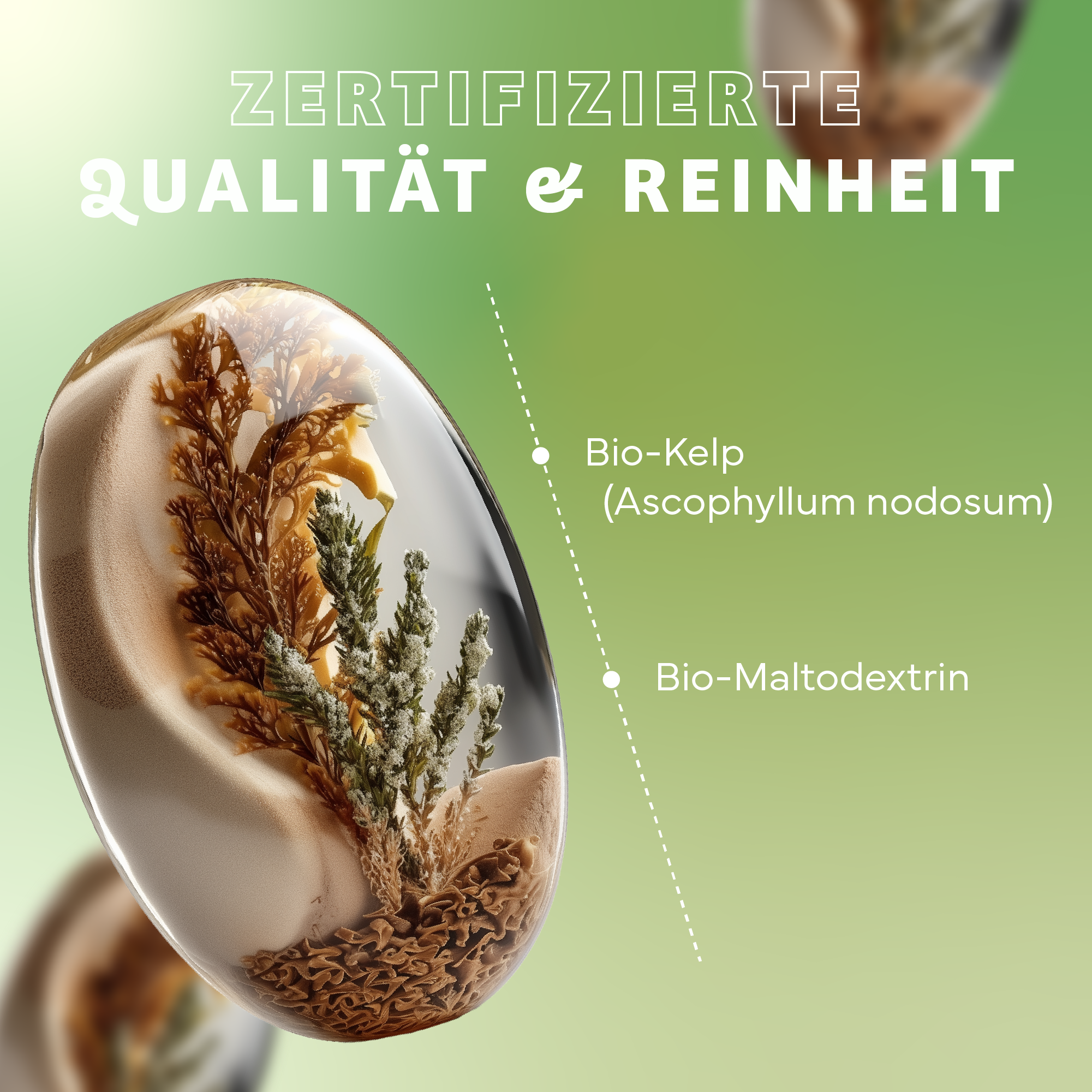 Werbung, Kräuterig, Pflanze, Plakat, Teller, Werbung, Kräuterig, Pflanze, Teller, Plakat, Werbung, Kräuterig, Pflanze, Teller, Plakat