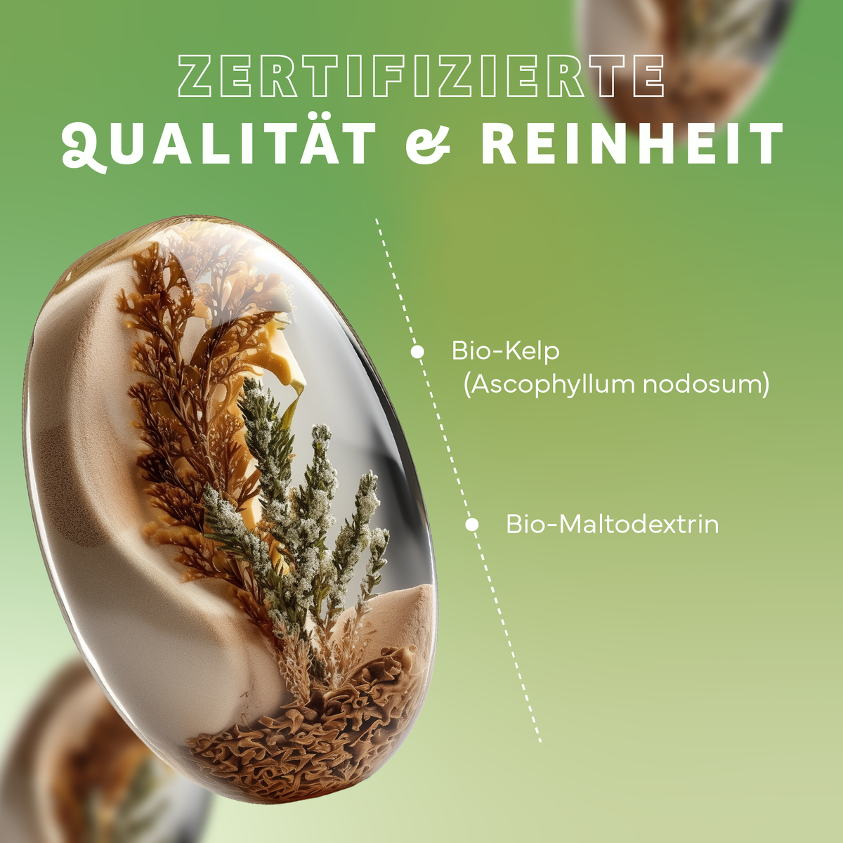 Werbung, Kräuterig, Pflanze, Plakat, Teller, Werbung, Kräuterig, Pflanze, Teller, Plakat, Werbung, Kräuterig, Pflanze, Teller, Plakat, Werbung, Kräuterig, Pflanze, Teller, Plakat, bio kelp, ascophyllum nodosum, bio-maltodextrin, eye-catching image, textur