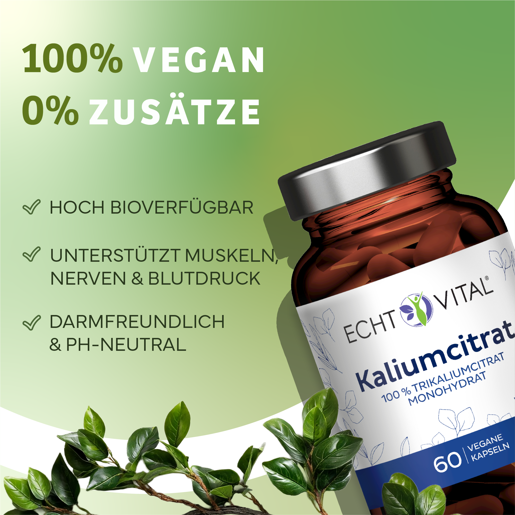 Kräuter, Werbung, Astragalus, Sirup